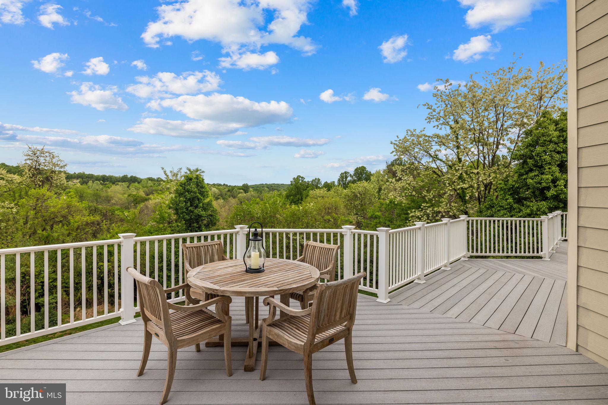 17111 NEEDLES COURT