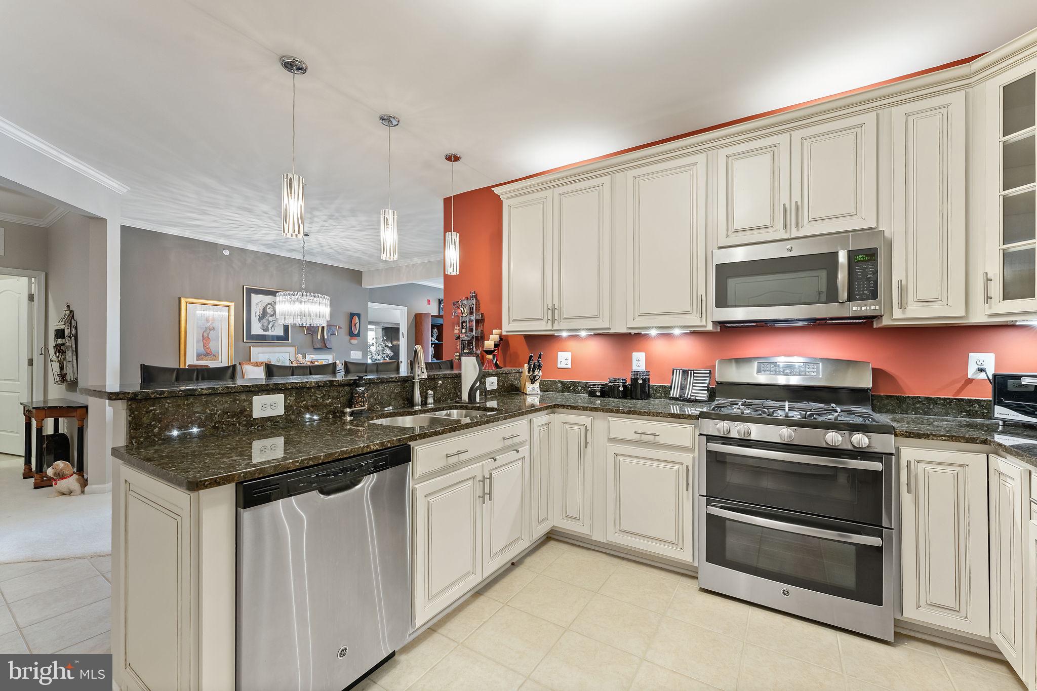 24661 WOOLLY MAMMOTH TERRACE 403