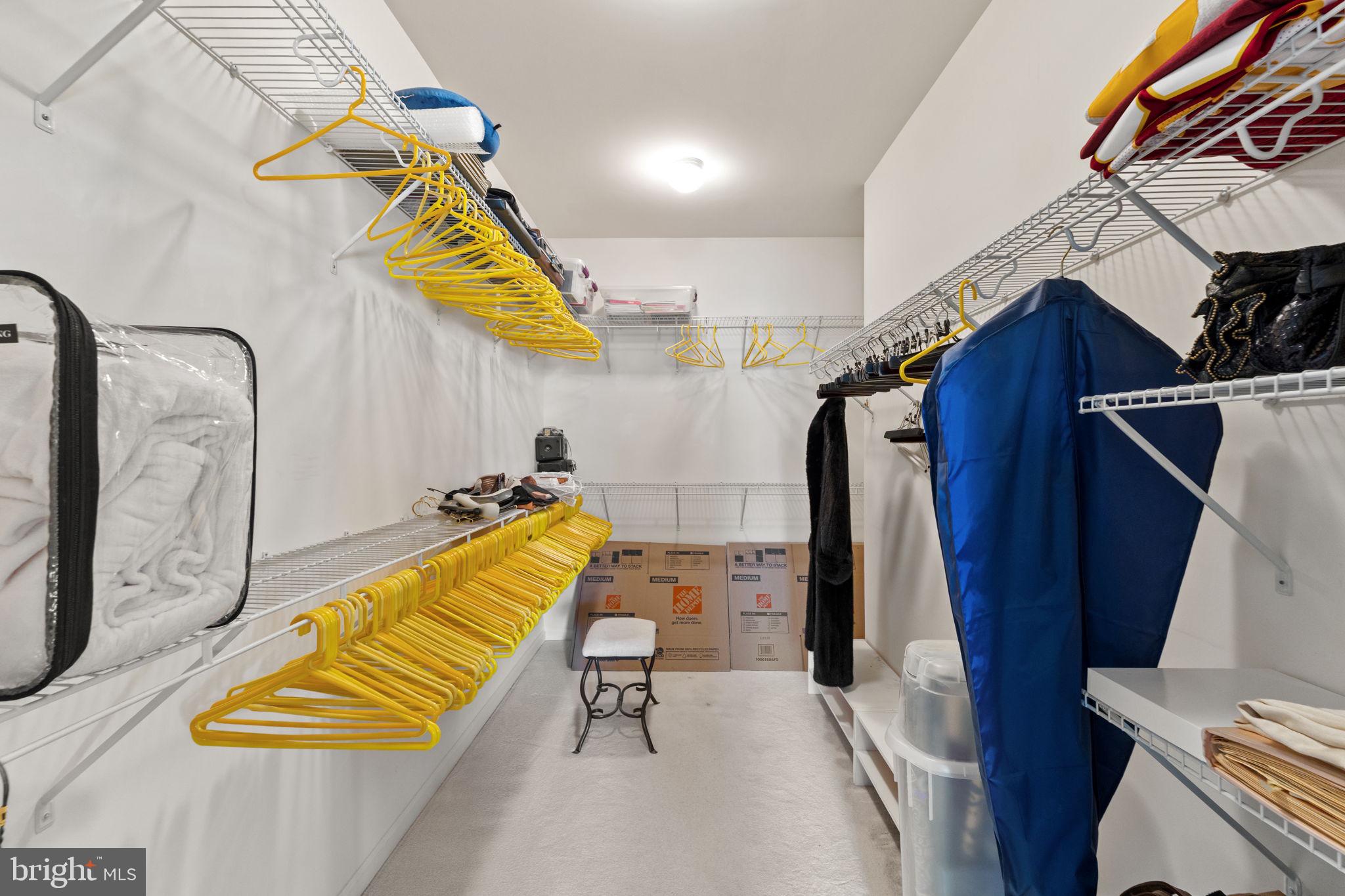 24661 WOOLLY MAMMOTH TERRACE 403