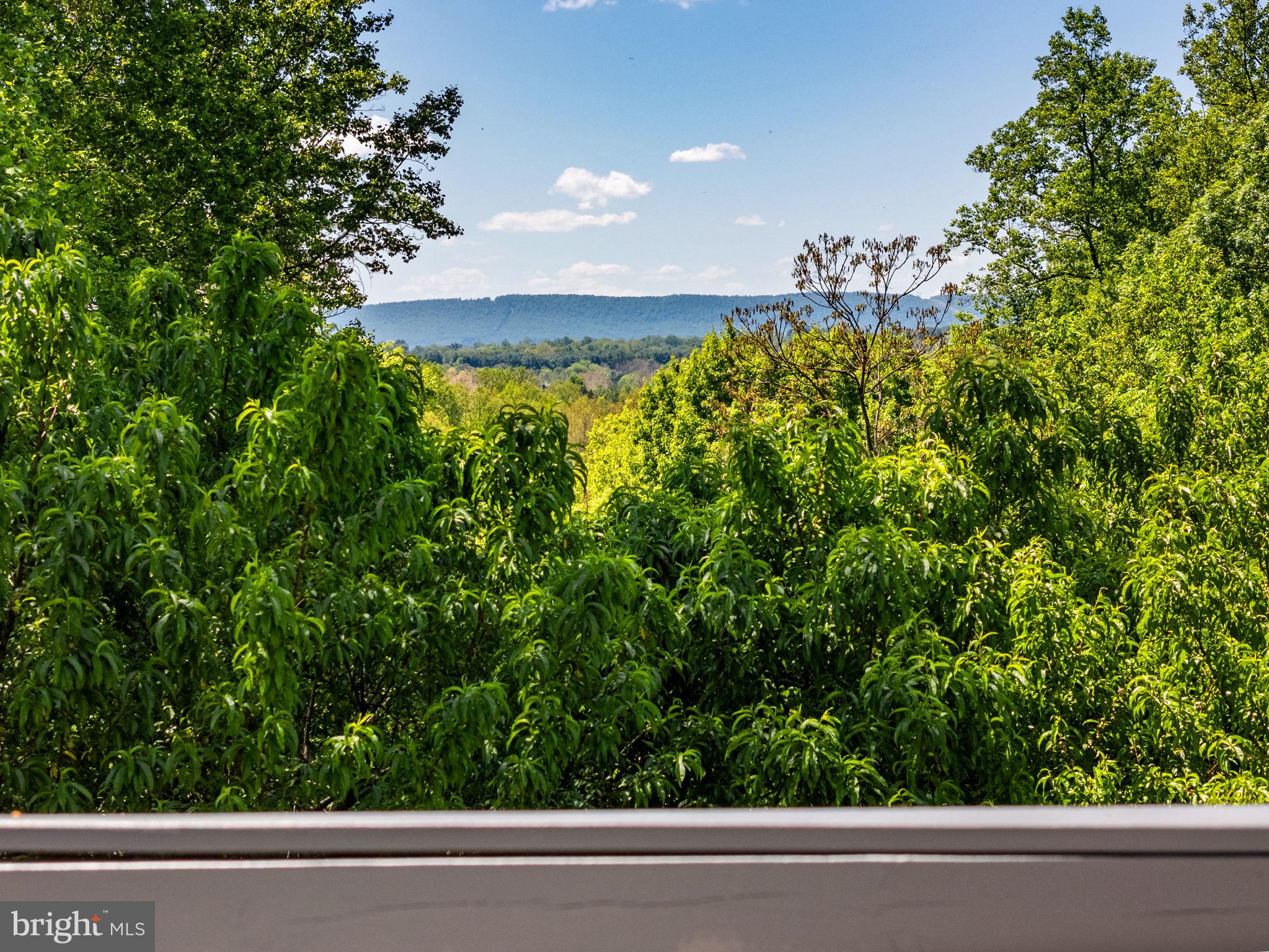 12707 FURNACE MOUNTAIN ROAD