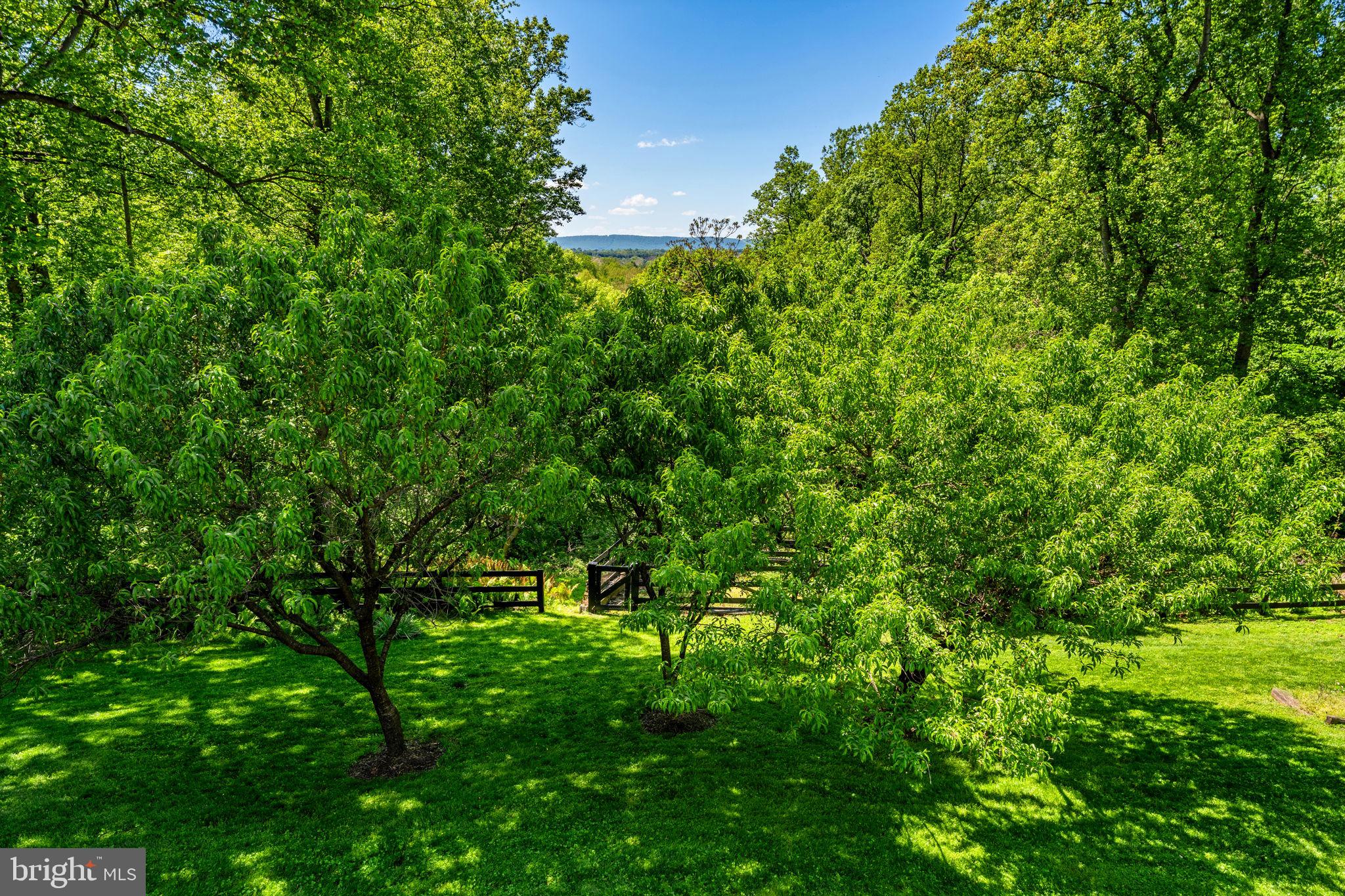 12707 FURNACE MOUNTAIN ROAD