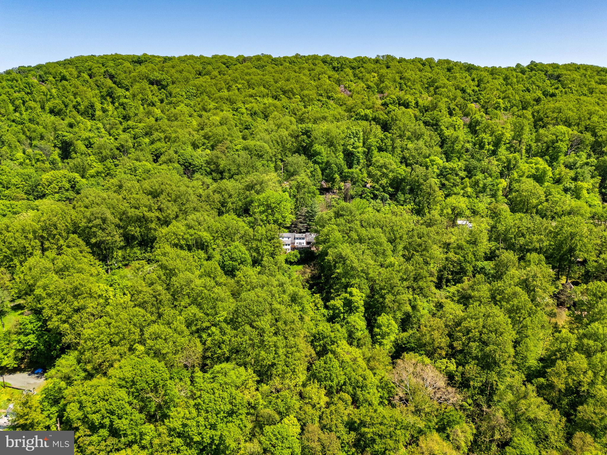 12707 FURNACE MOUNTAIN ROAD