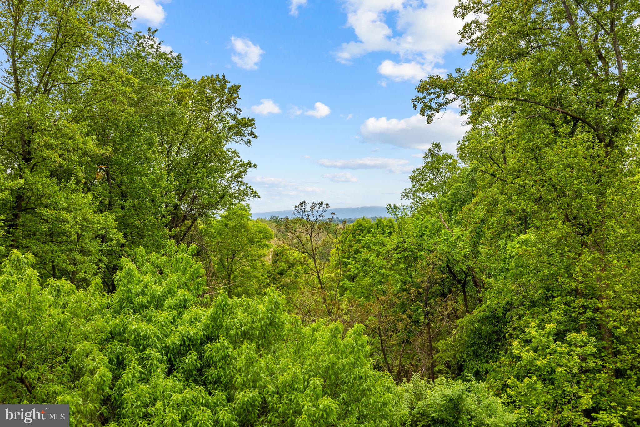 12707 FURNACE MOUNTAIN ROAD