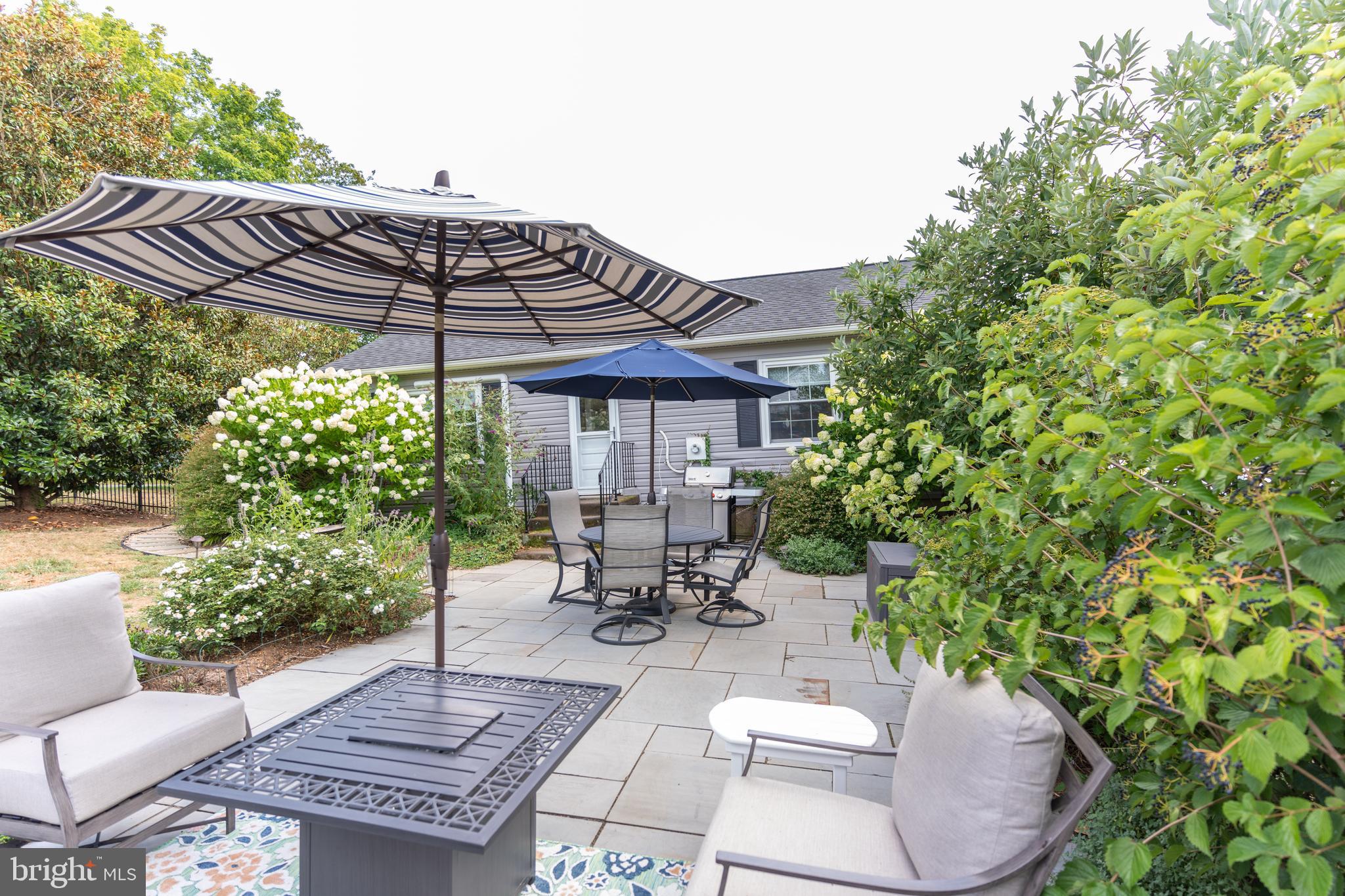 800 BLUE RIDGE AVENUE
