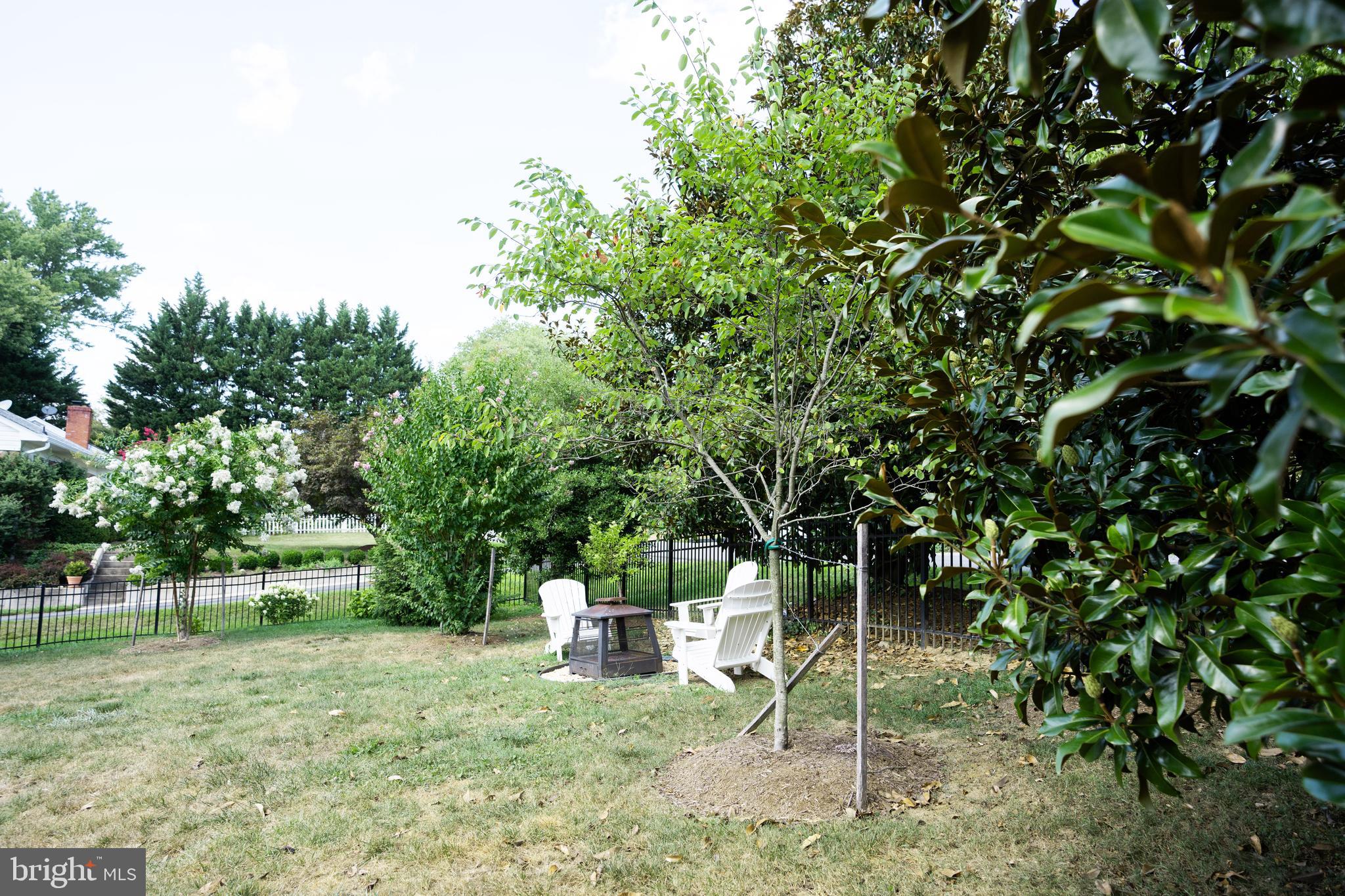 800 BLUE RIDGE AVENUE