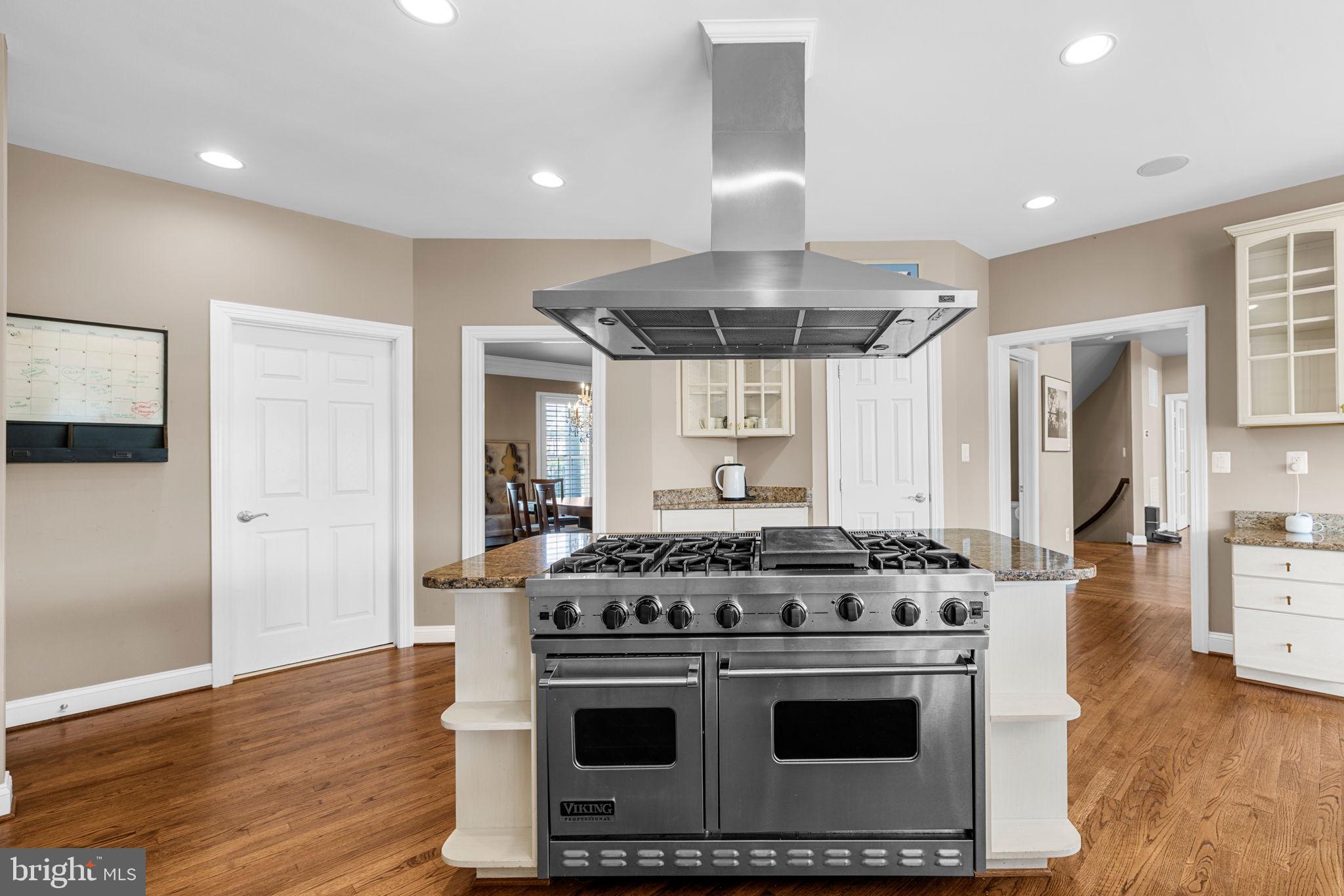 40265 IRON LIEGE COURT
