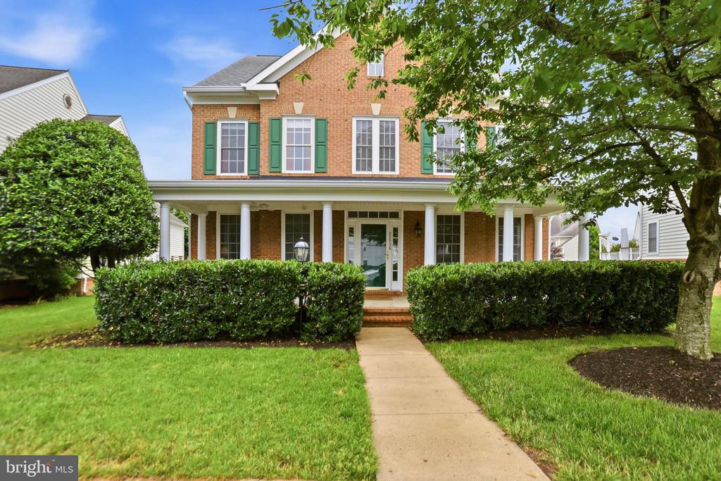 22938 GOLDENROD