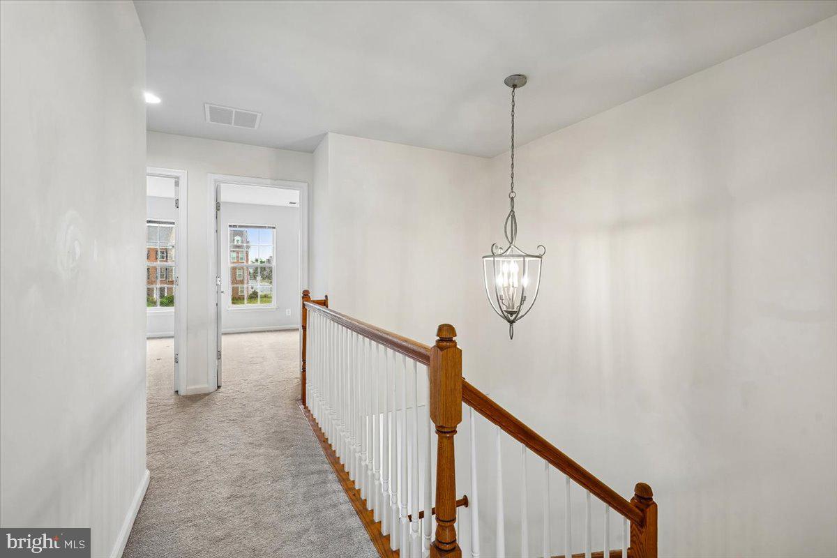 43611 SONORA SEED TERRACE