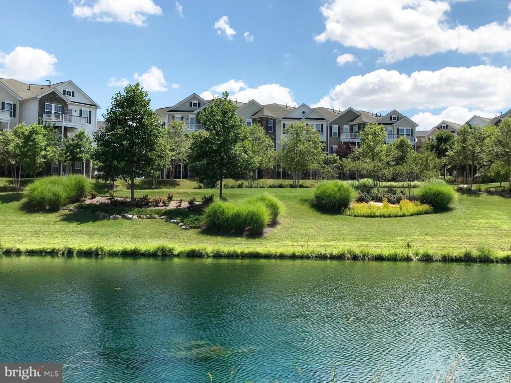 22710 BLUE ELDER TERRACE 203