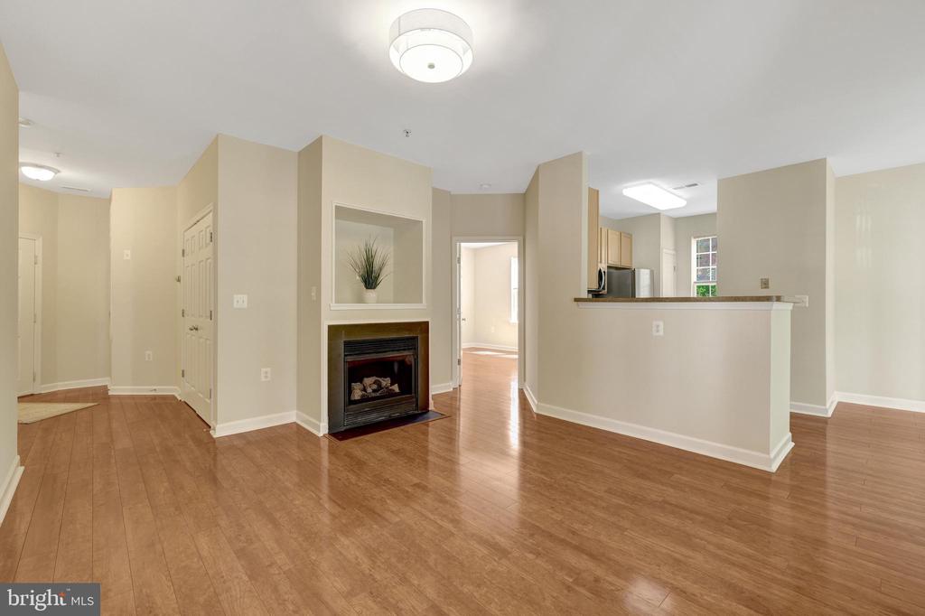 22710 BLUE ELDER TERRACE 203