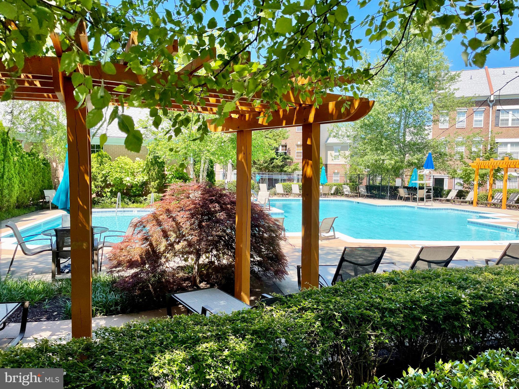 22710 BLUE ELDER TERRACE 203