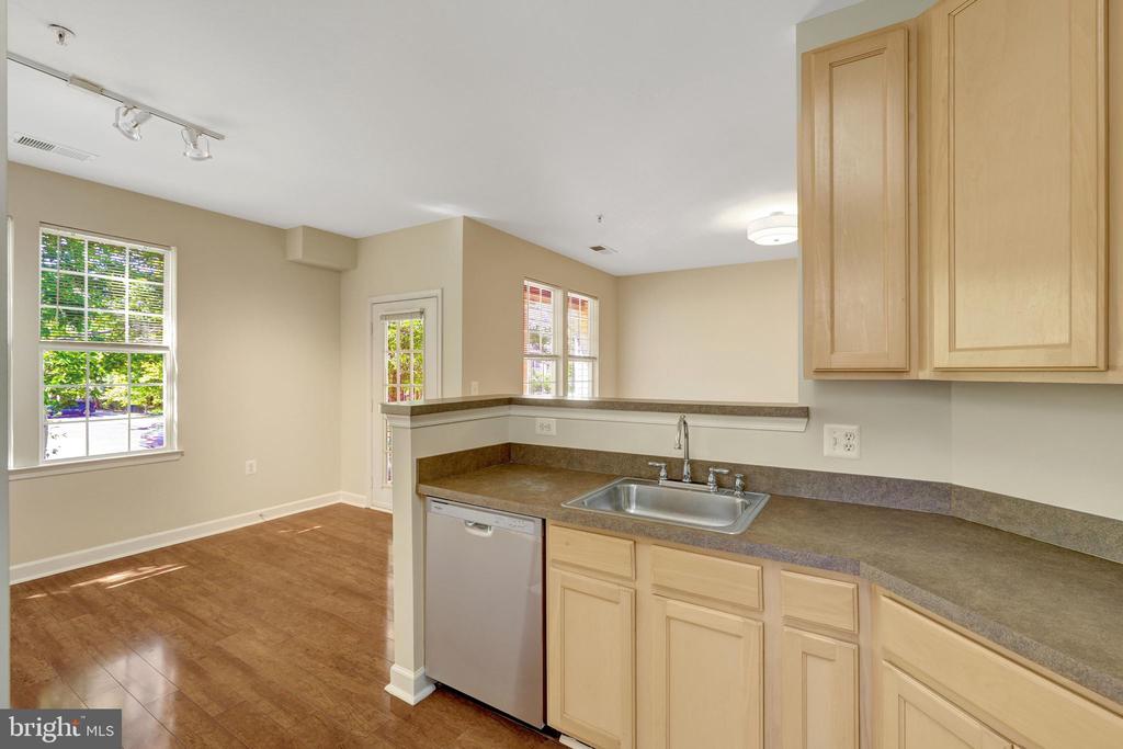 22710 BLUE ELDER TERRACE 203