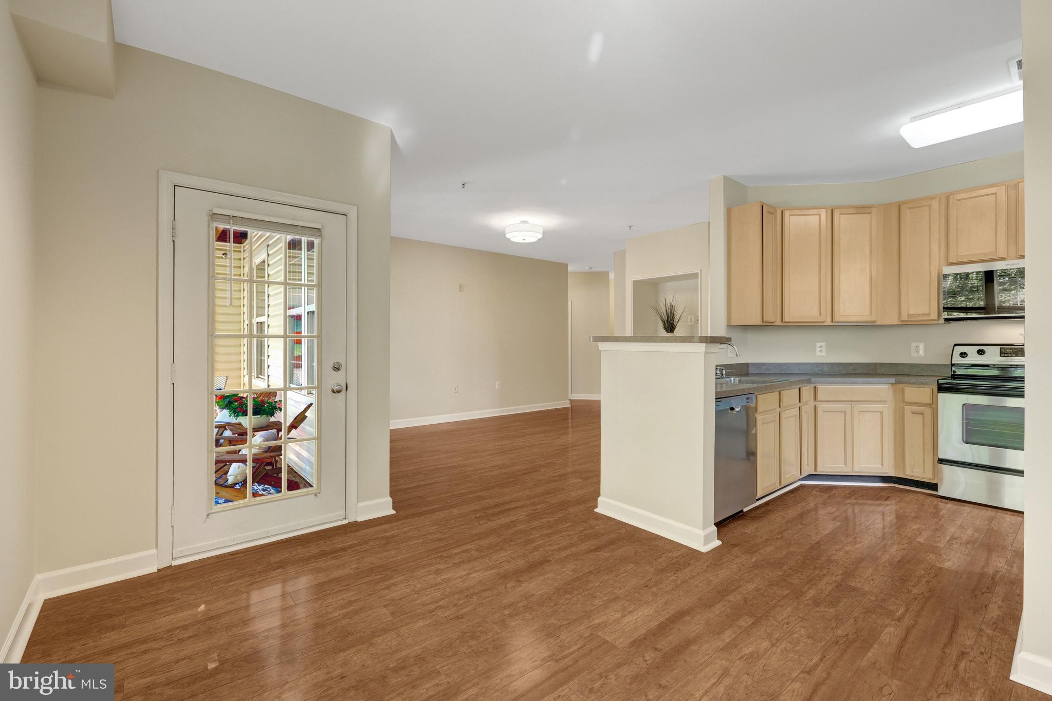 22710 BLUE ELDER TERRACE 203