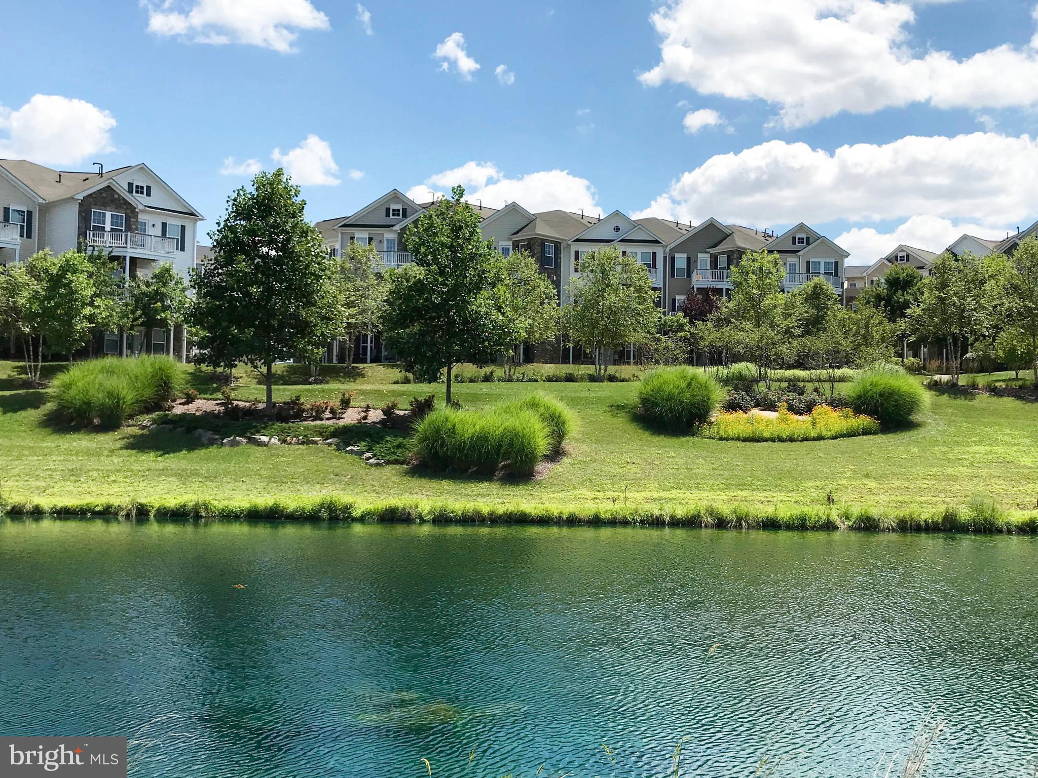22710 BLUE ELDER TERRACE 203