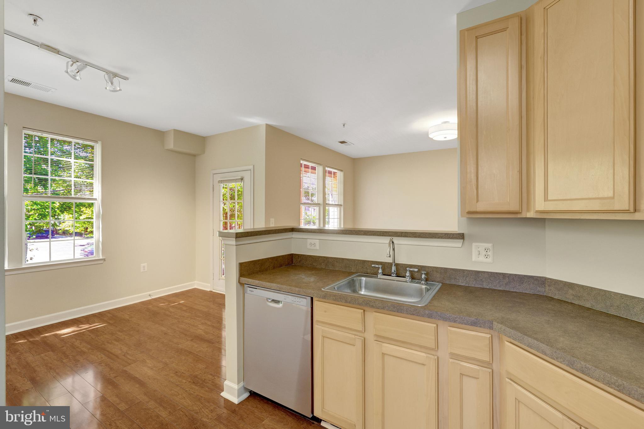22710 BLUE ELDER TERRACE 203