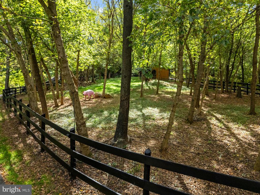 12986 FURNACE MOUNTAIN ROAD
