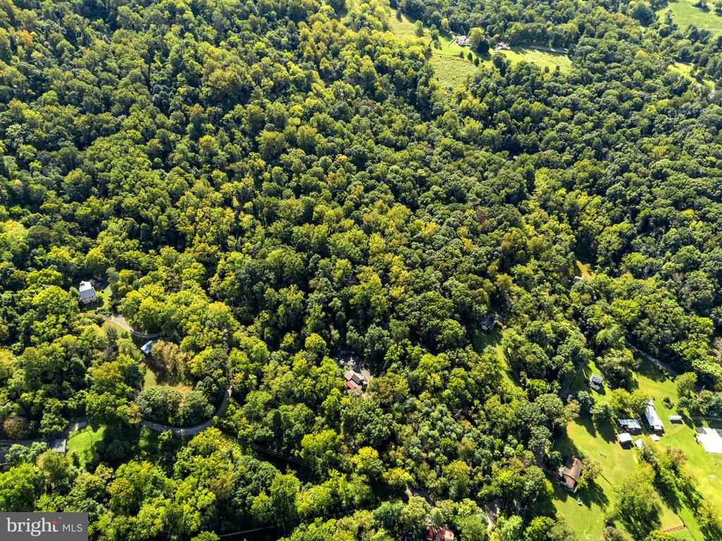 12986 FURNACE MOUNTAIN ROAD