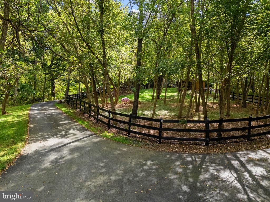 12986 FURNACE MOUNTAIN ROAD