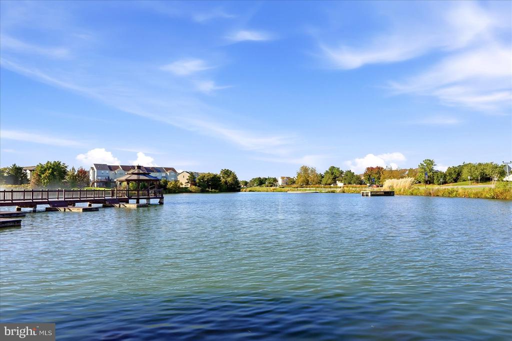 44118 NATALIE TERRACE Unit: 302