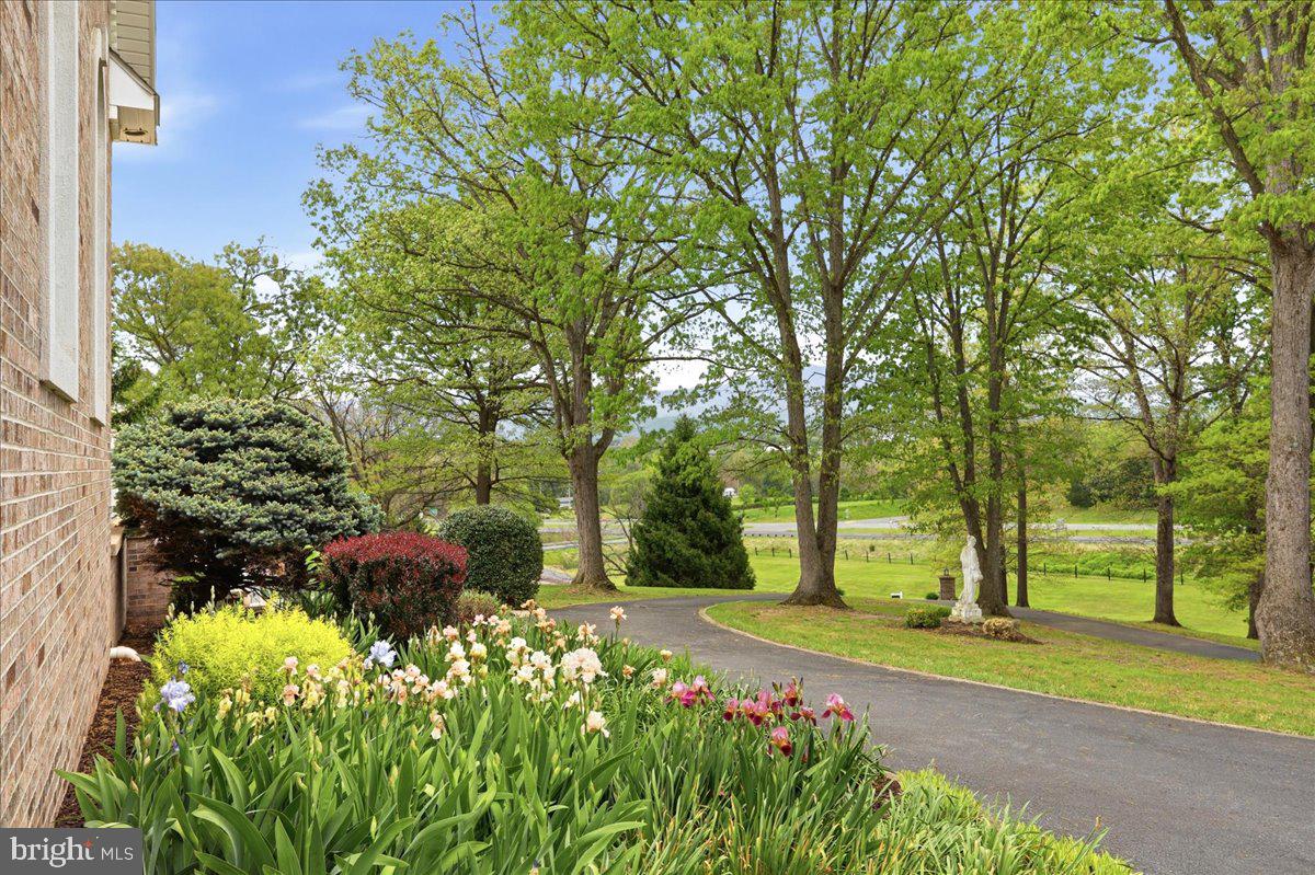 50 COTTAGE DRIVE
