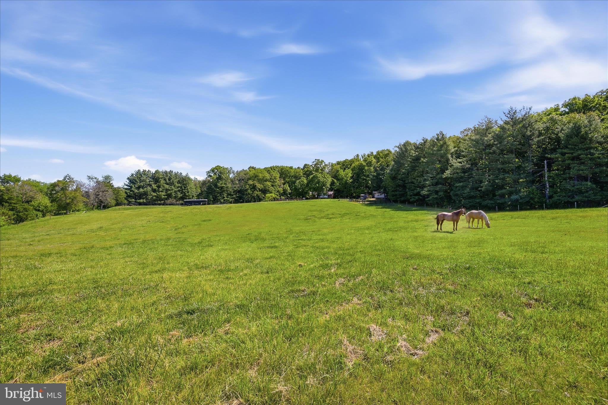 338 SPRINGFIELD ESTATES DRIVE