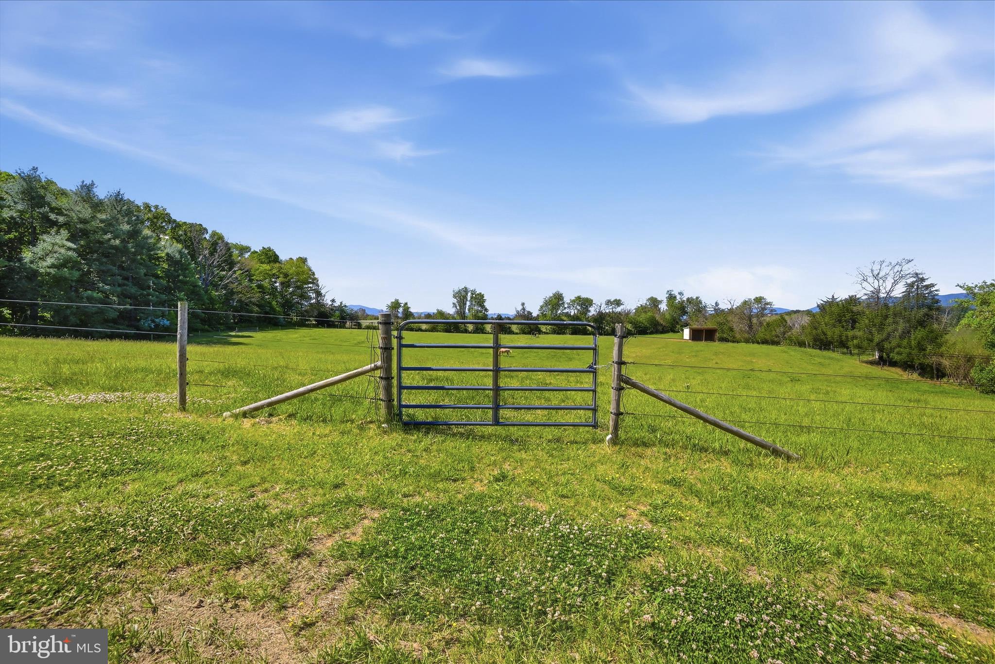 338 SPRINGFIELD ESTATES DRIVE