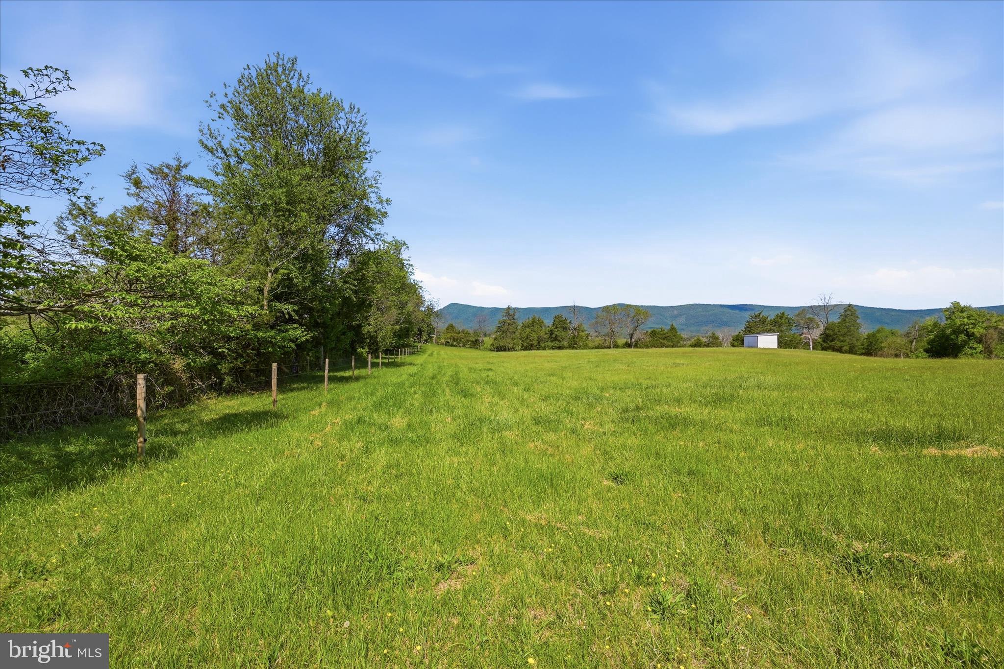338 SPRINGFIELD ESTATES DRIVE
