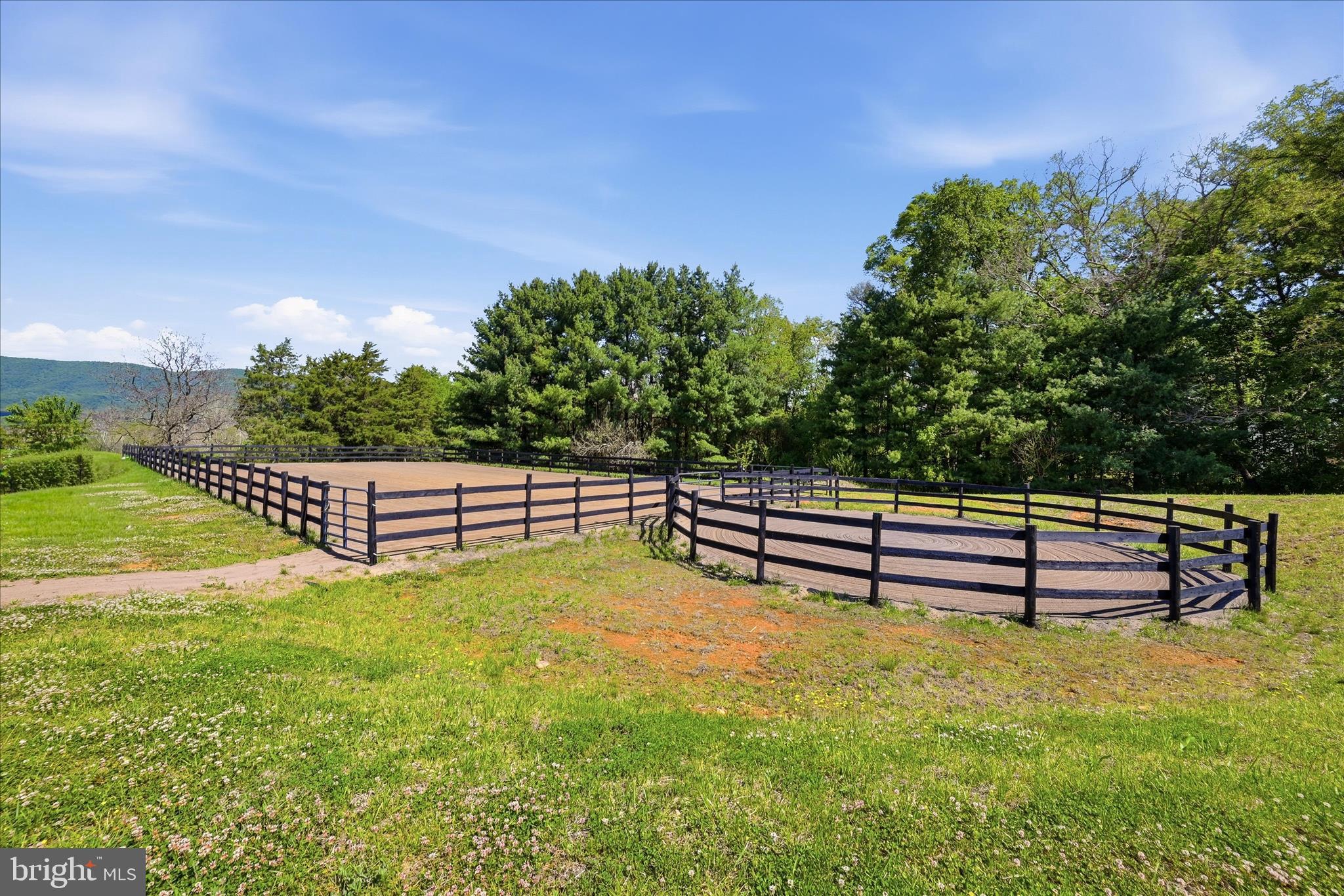 338 SPRINGFIELD ESTATES DRIVE