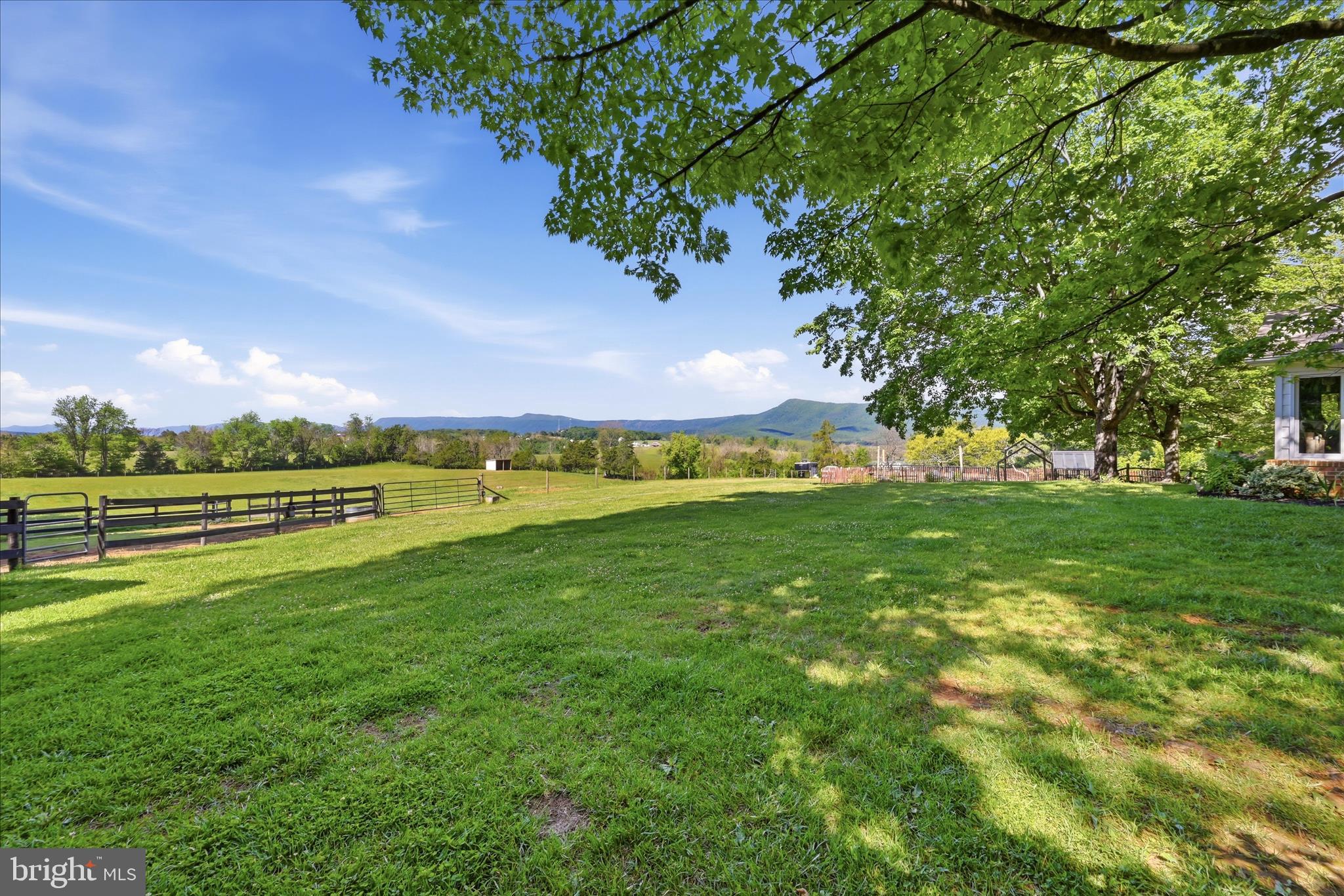 338 SPRINGFIELD ESTATES DRIVE