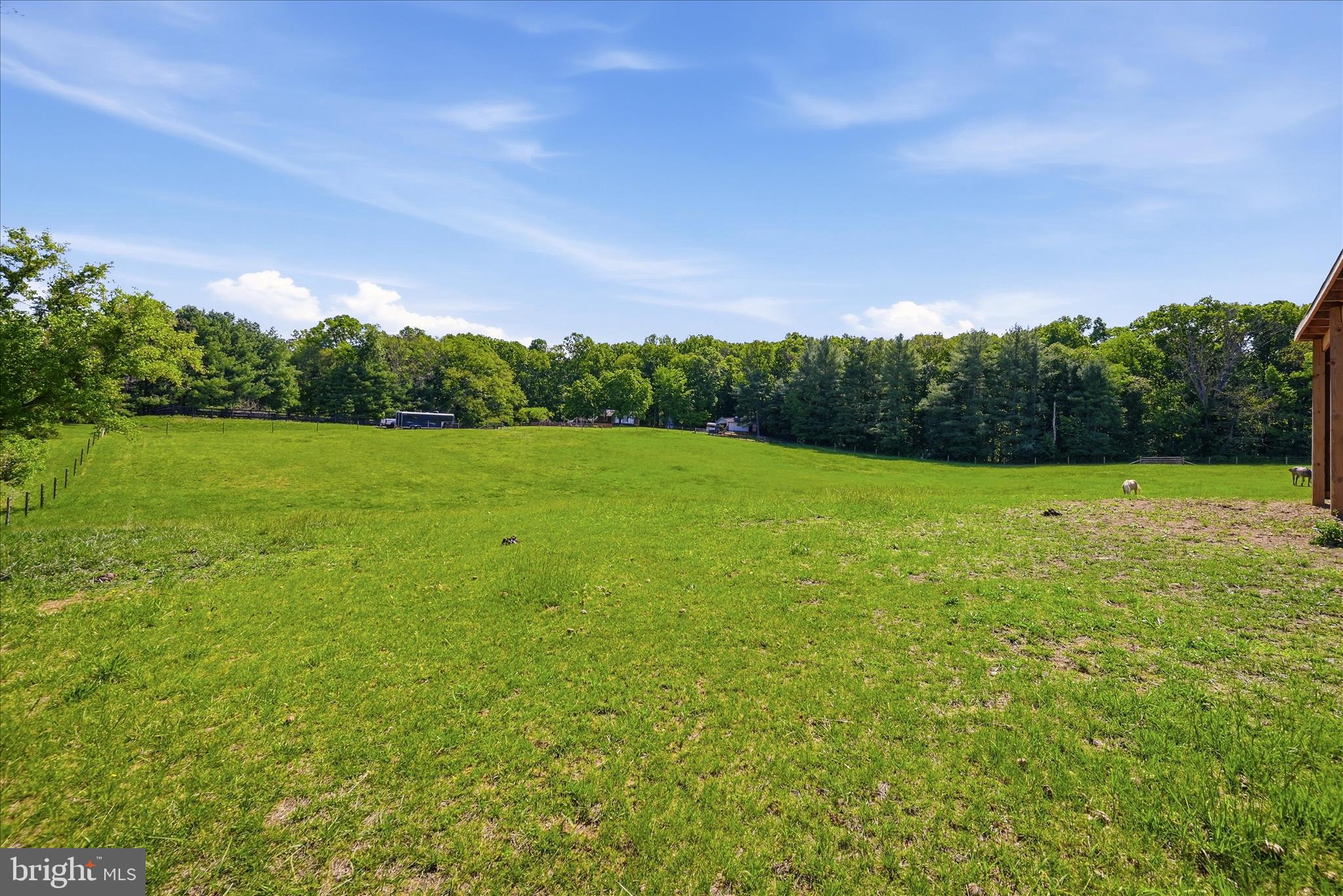 338 SPRINGFIELD ESTATES DRIVE