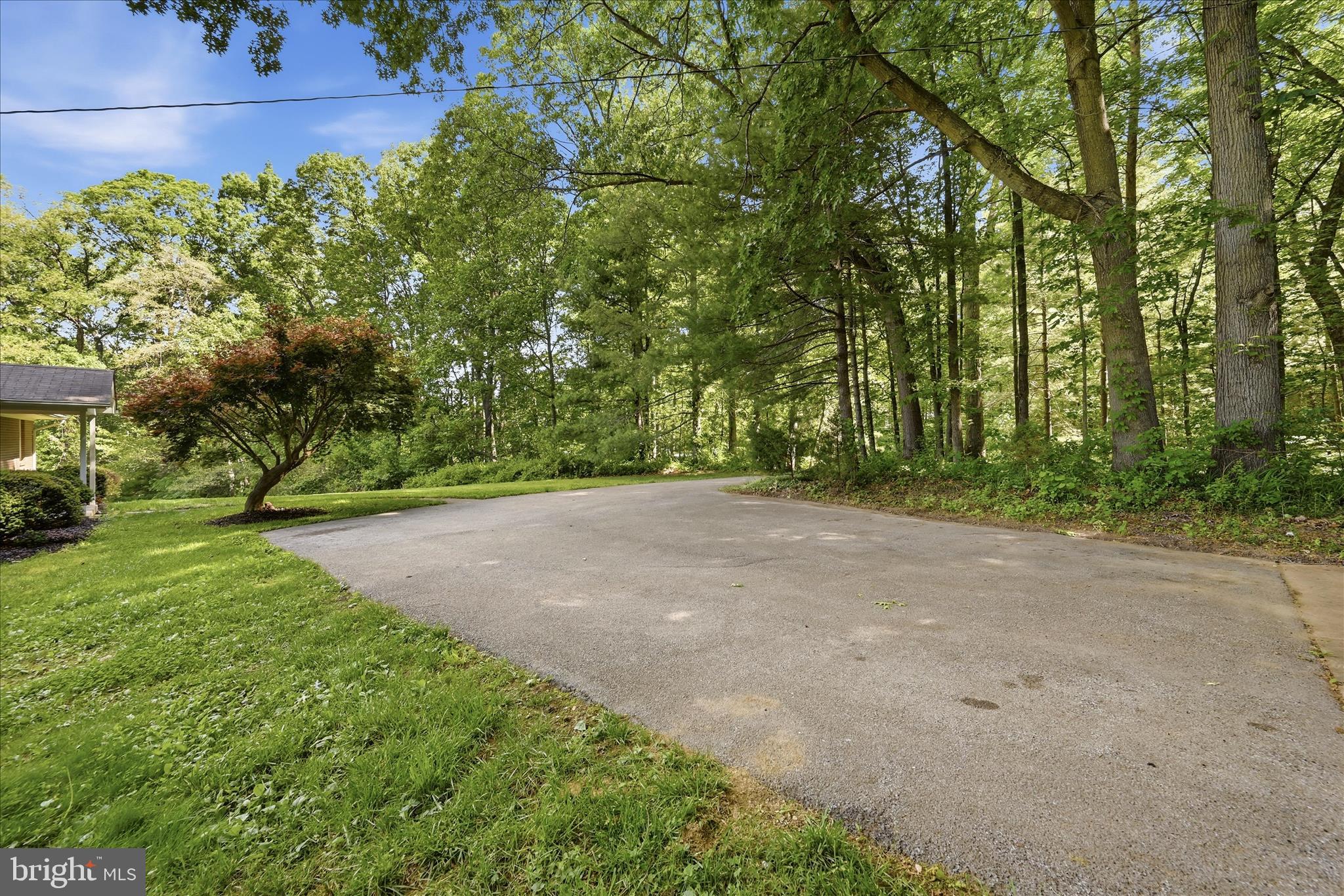 338 SPRINGFIELD ESTATES DRIVE