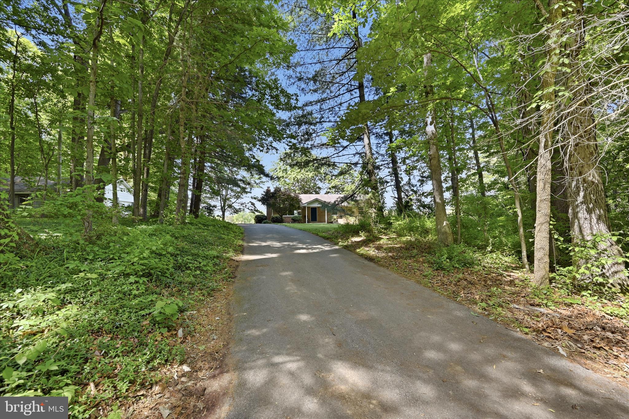 338 SPRINGFIELD ESTATES DRIVE