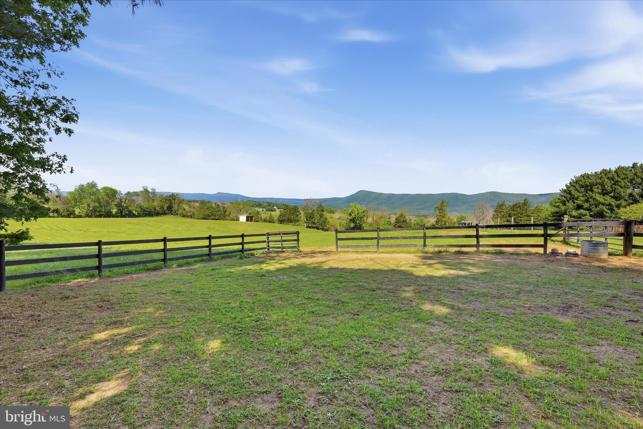 338 SPRINGFIELD ESTATES DRIVE