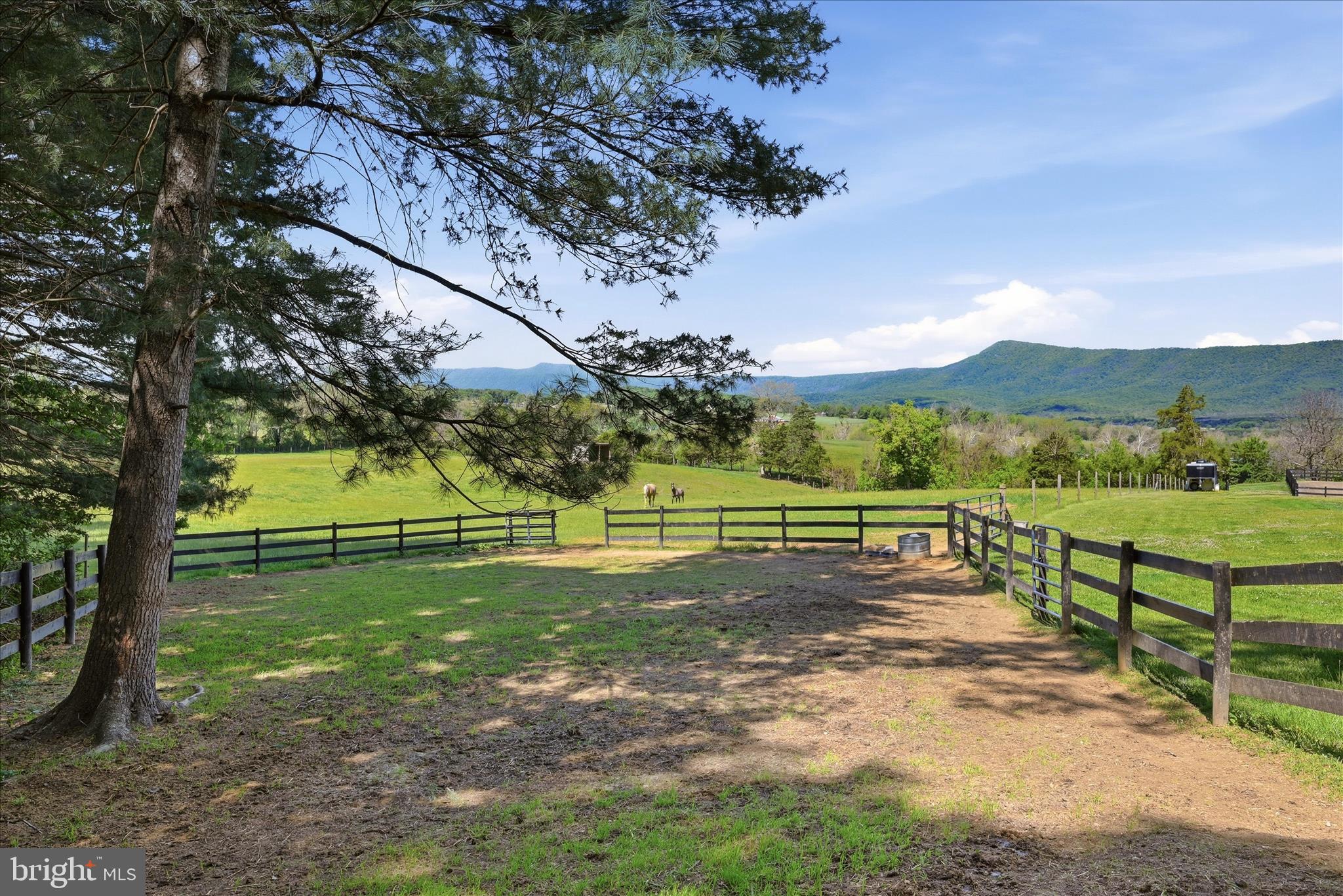 338 SPRINGFIELD ESTATES DRIVE