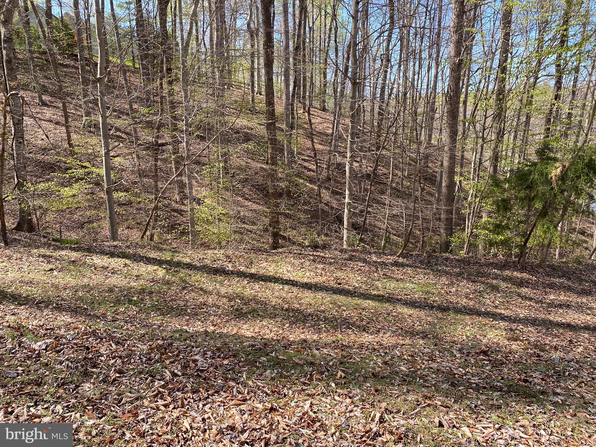 11429 OCCOQUAN OAKS LANE