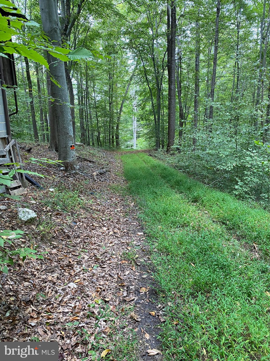 11429 OCCOQUAN OAKS LANE
