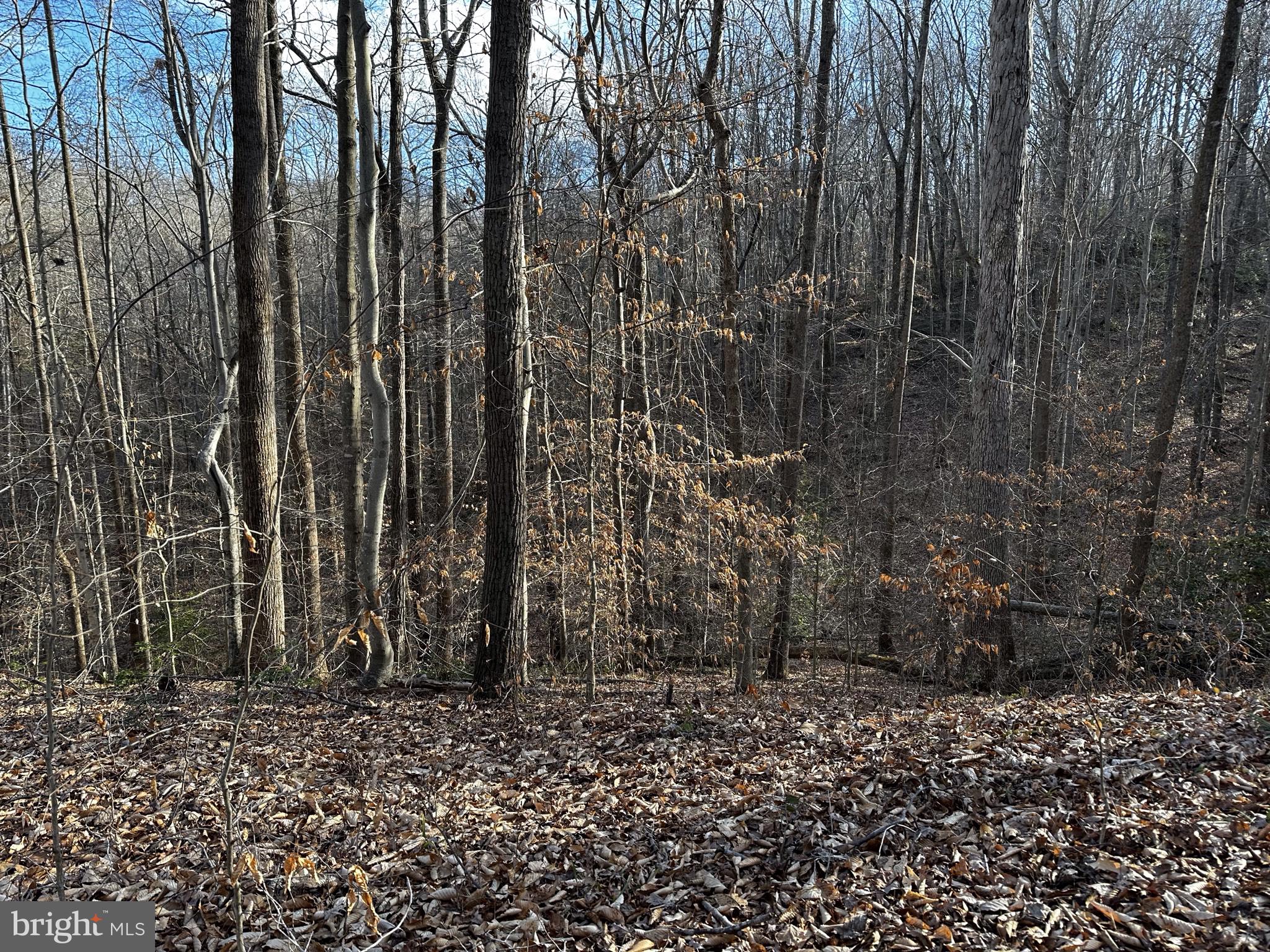 11429 OCCOQUAN OAKS LANE