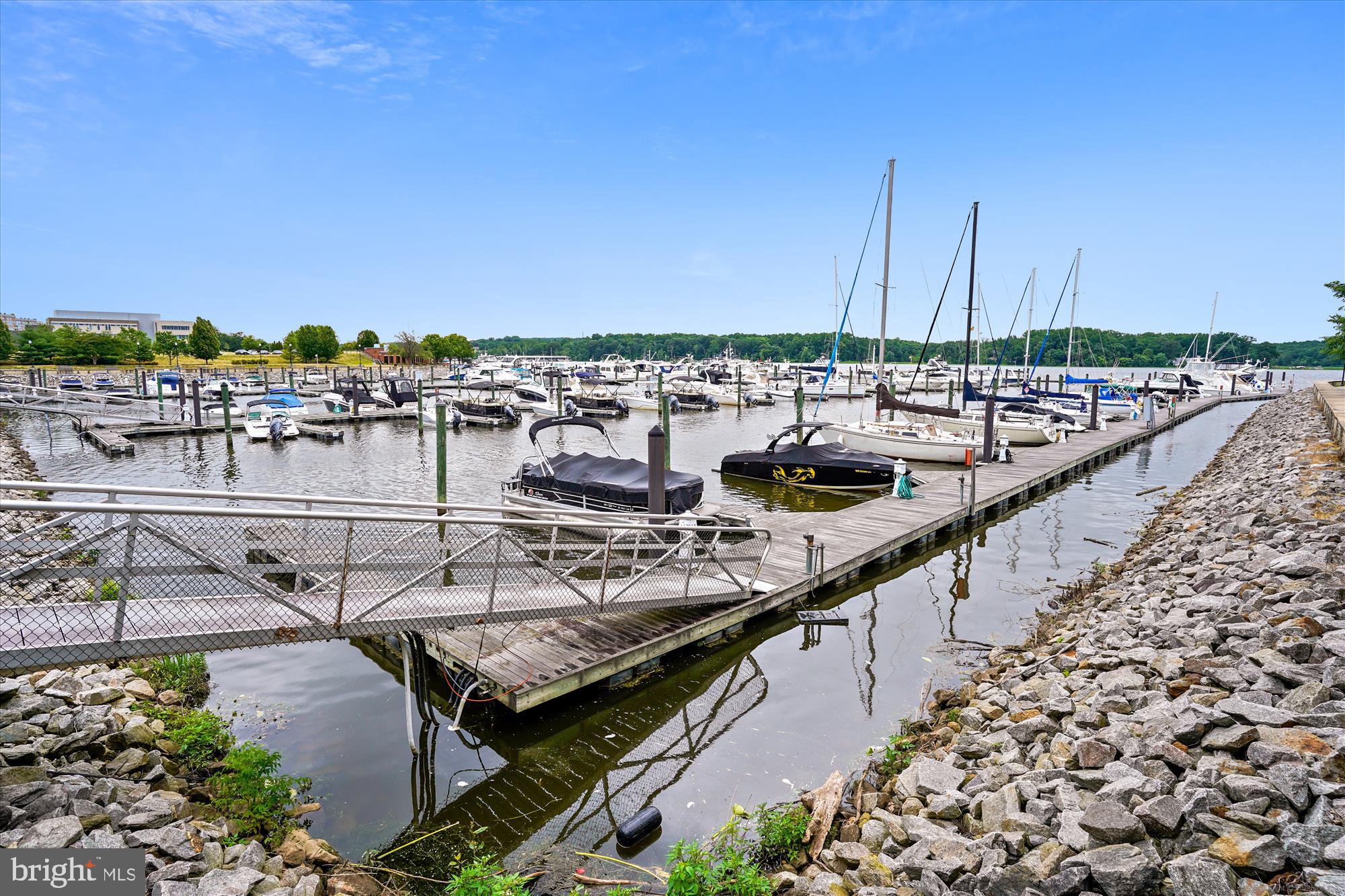 650 BELMONT BAY DRIVE