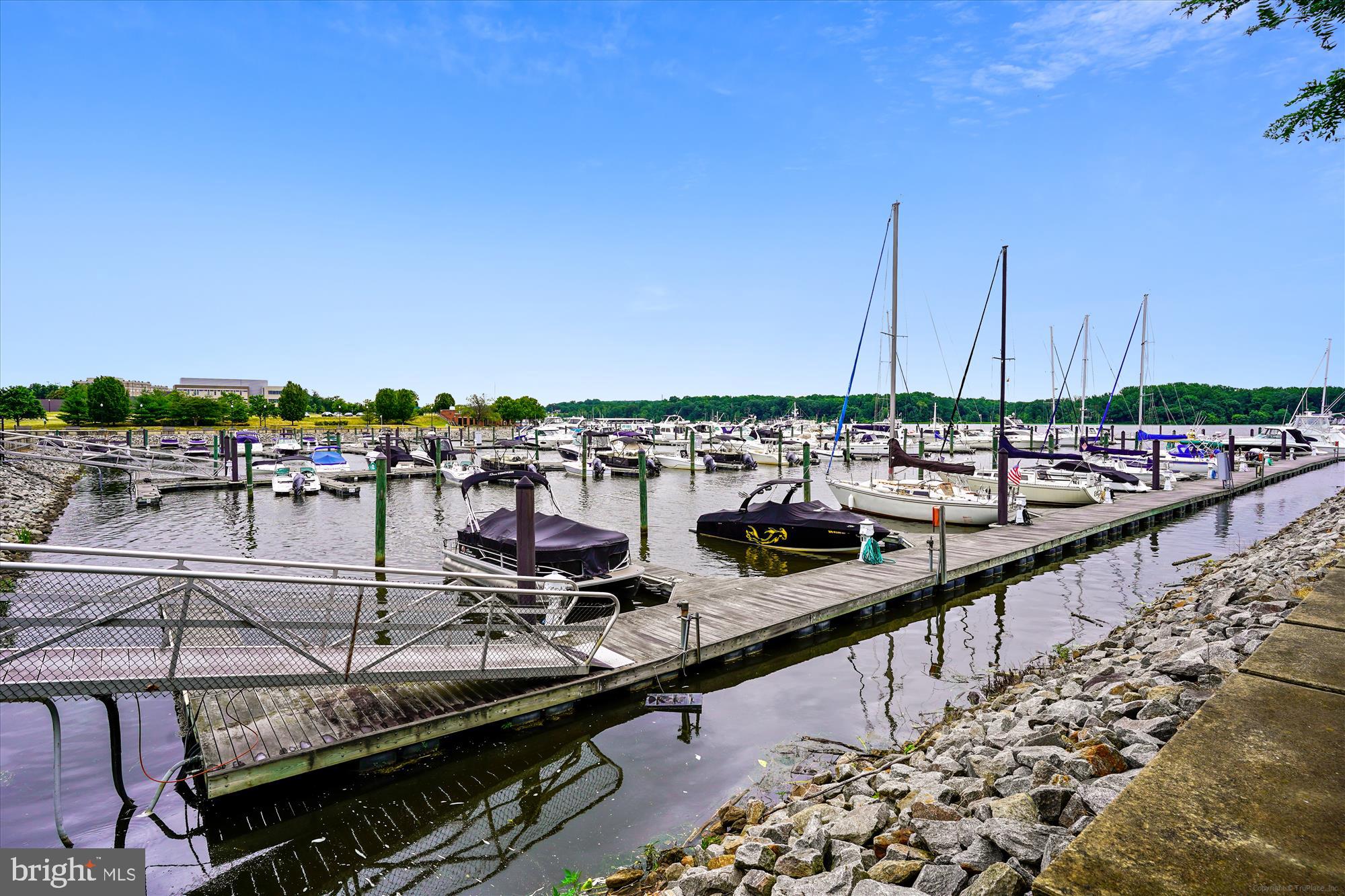 650 BELMONT BAY DRIVE