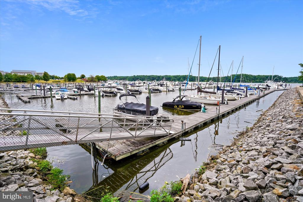 650 BELMONT BAY DRIVE