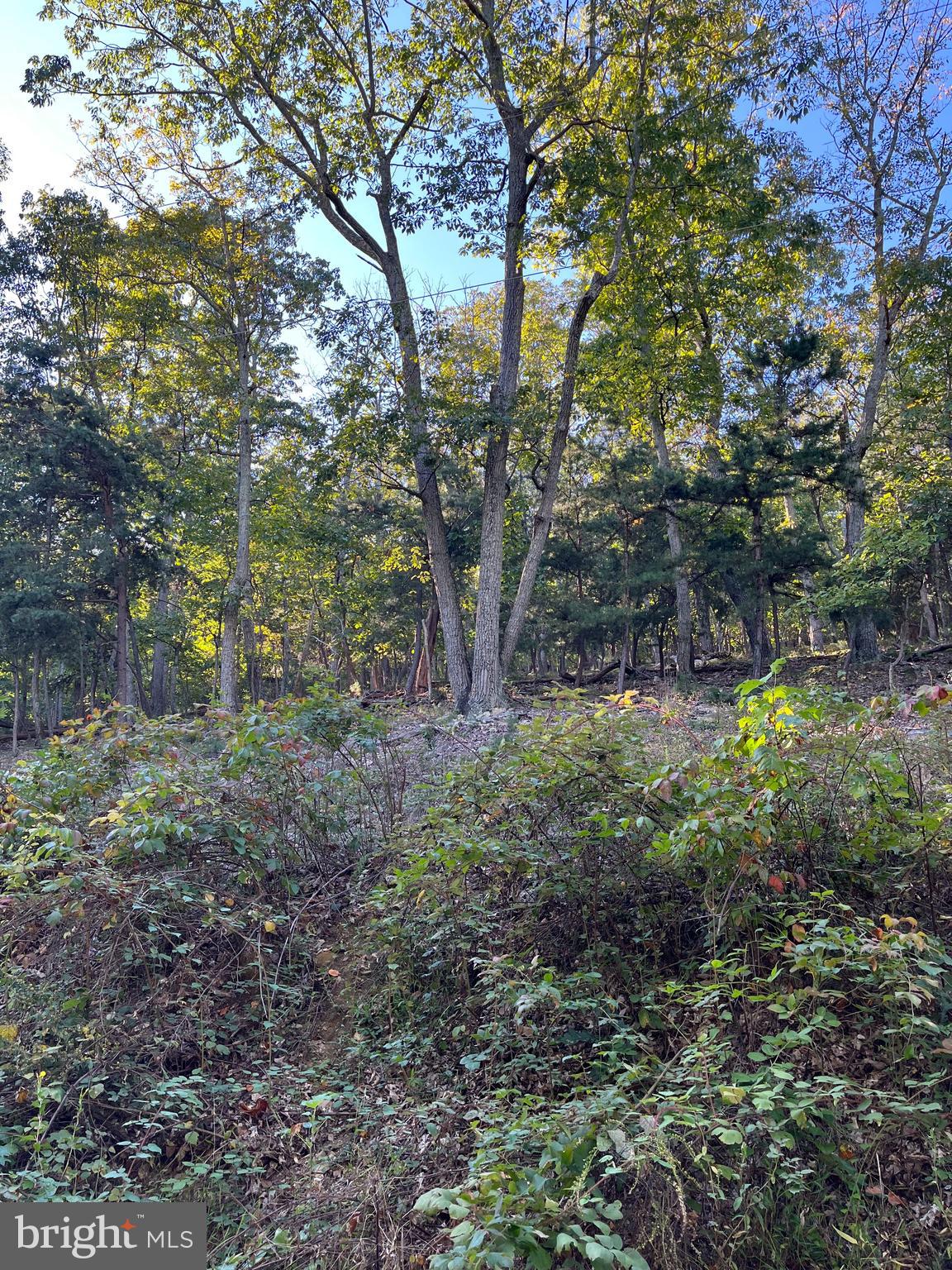 2014 GORE DRIVE