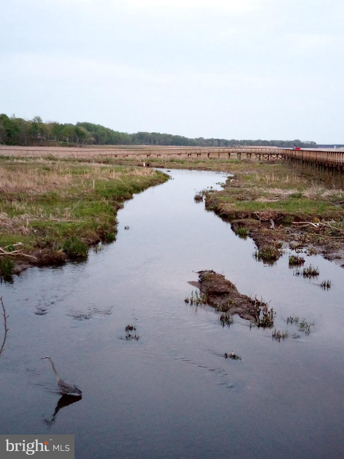 2164 SILVERSMITH COURT