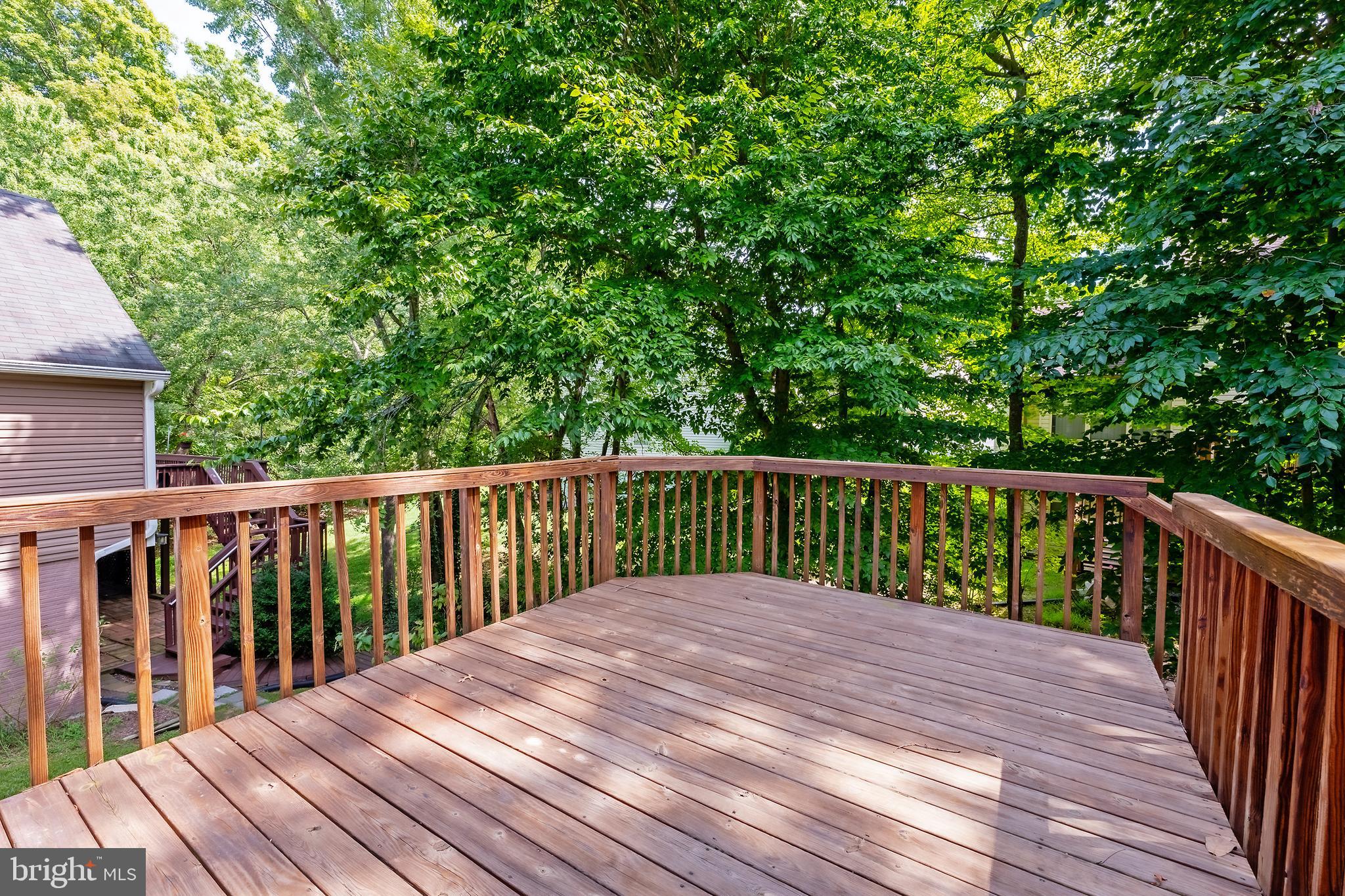 12229 DAPPLE GRAY COURT