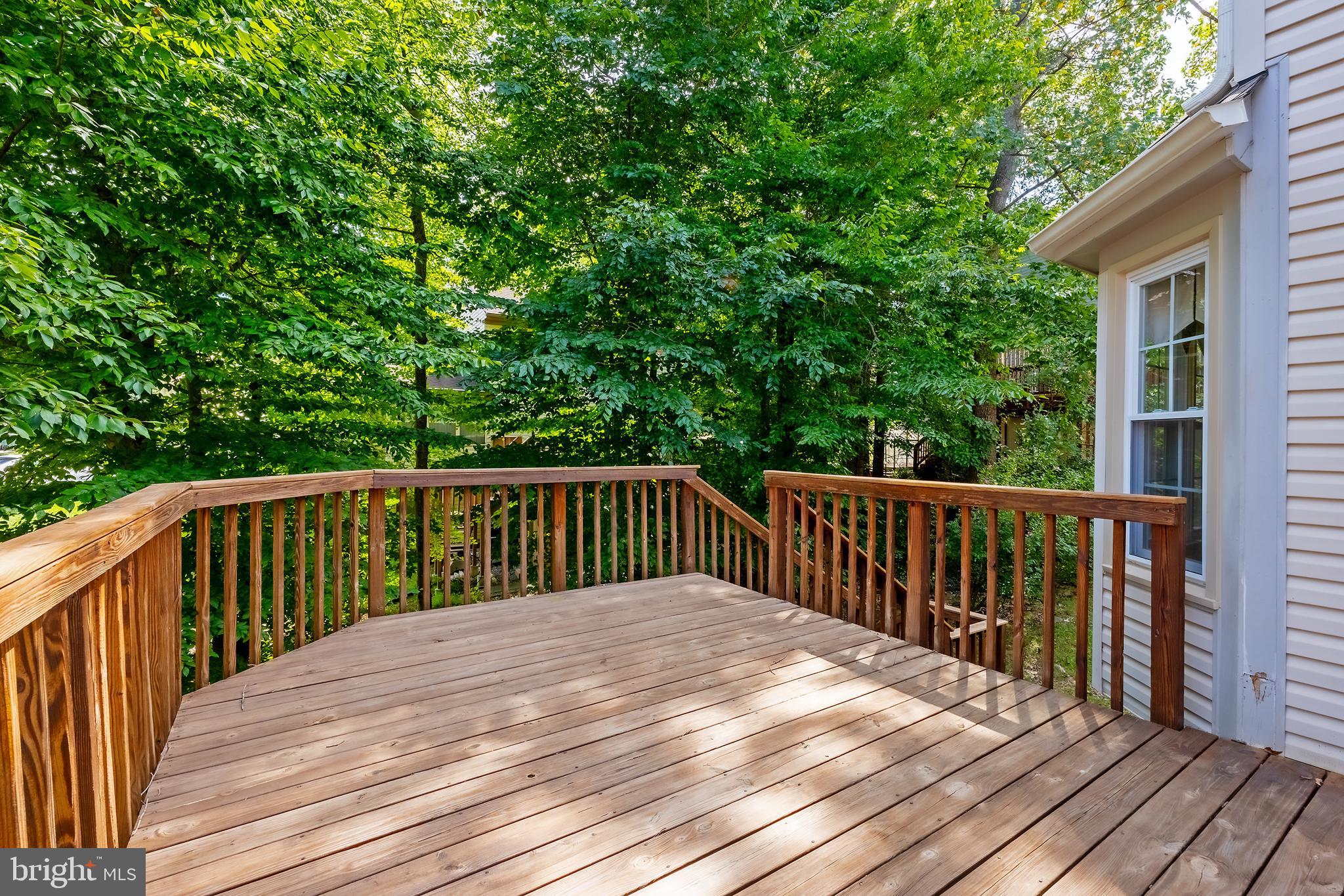 12229 DAPPLE GRAY COURT