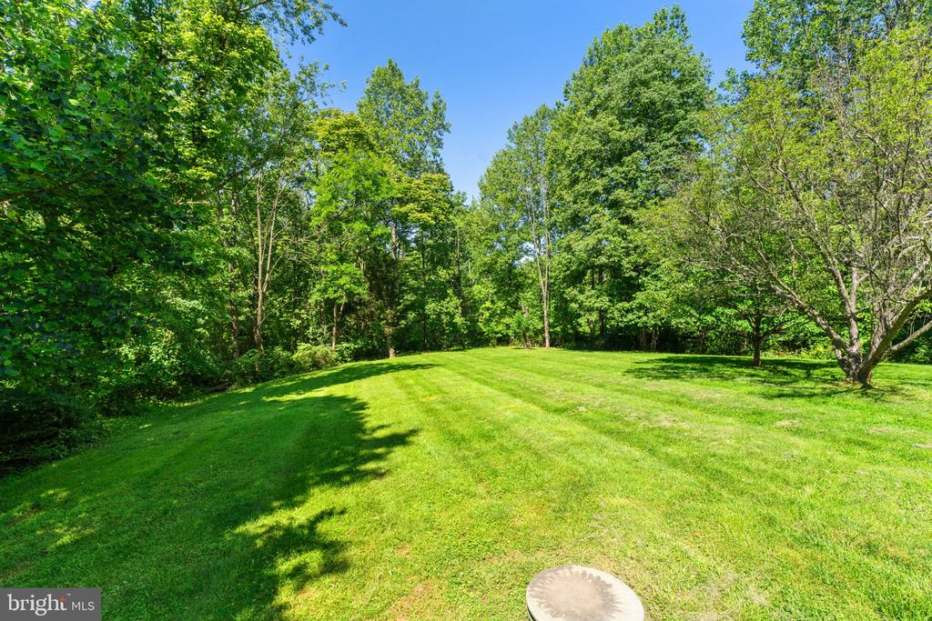 4229 JACKSON MILL ROAD