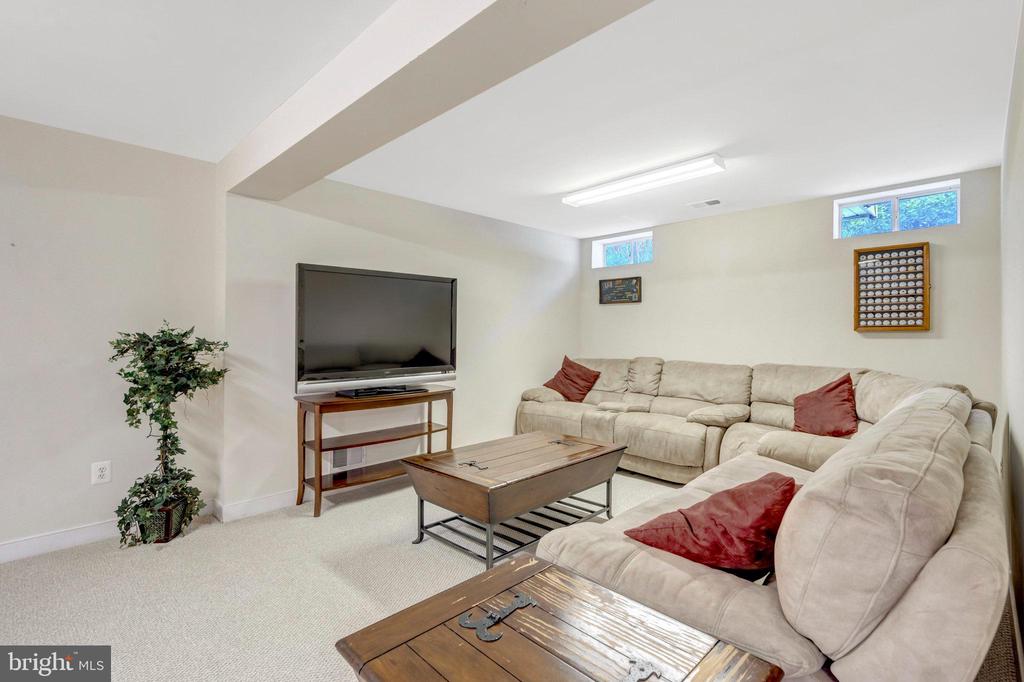 13154 TRIPLE CROWN LOOP