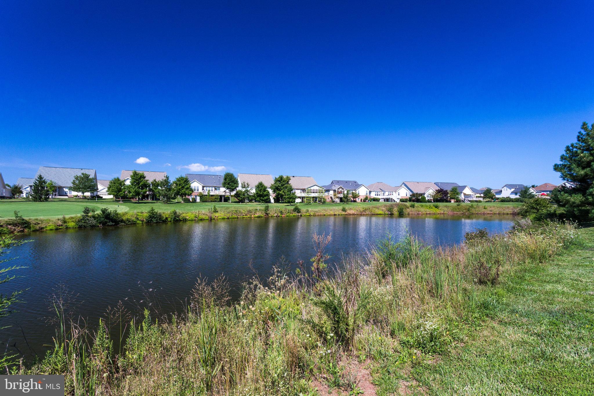 13154 TRIPLE CROWN LOOP