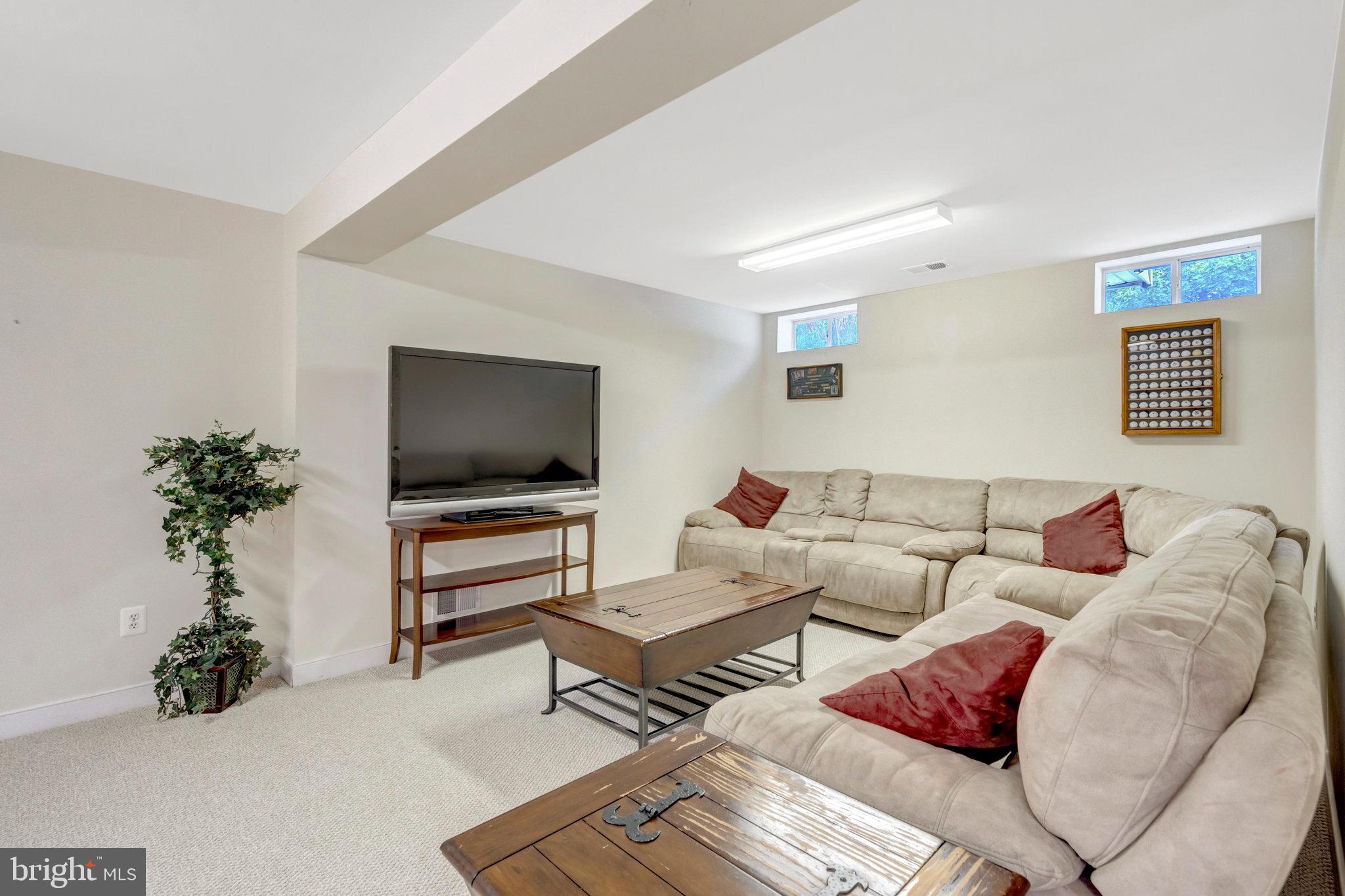 13154 TRIPLE CROWN LOOP