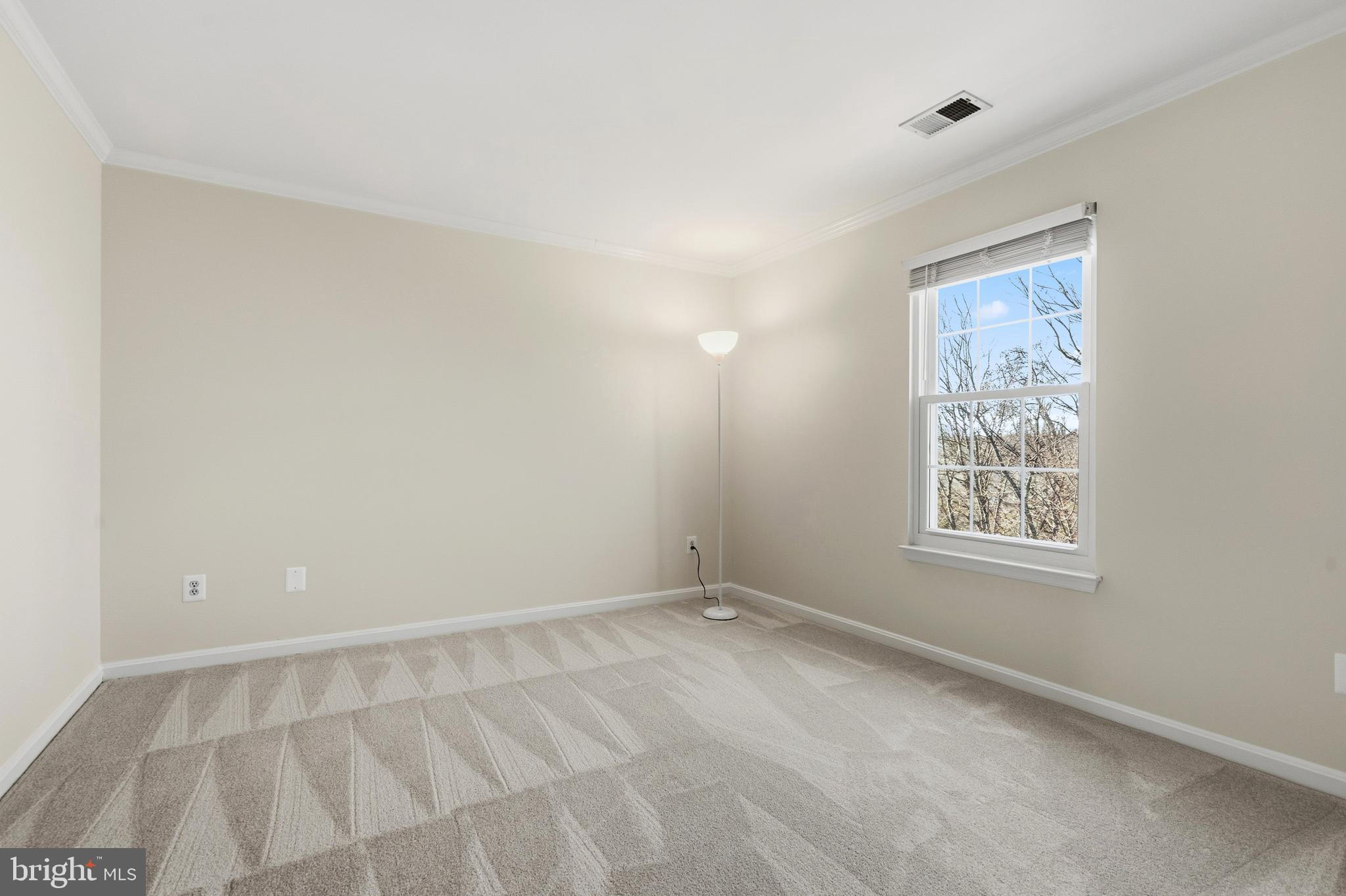 10052 NAUGHTON COURT