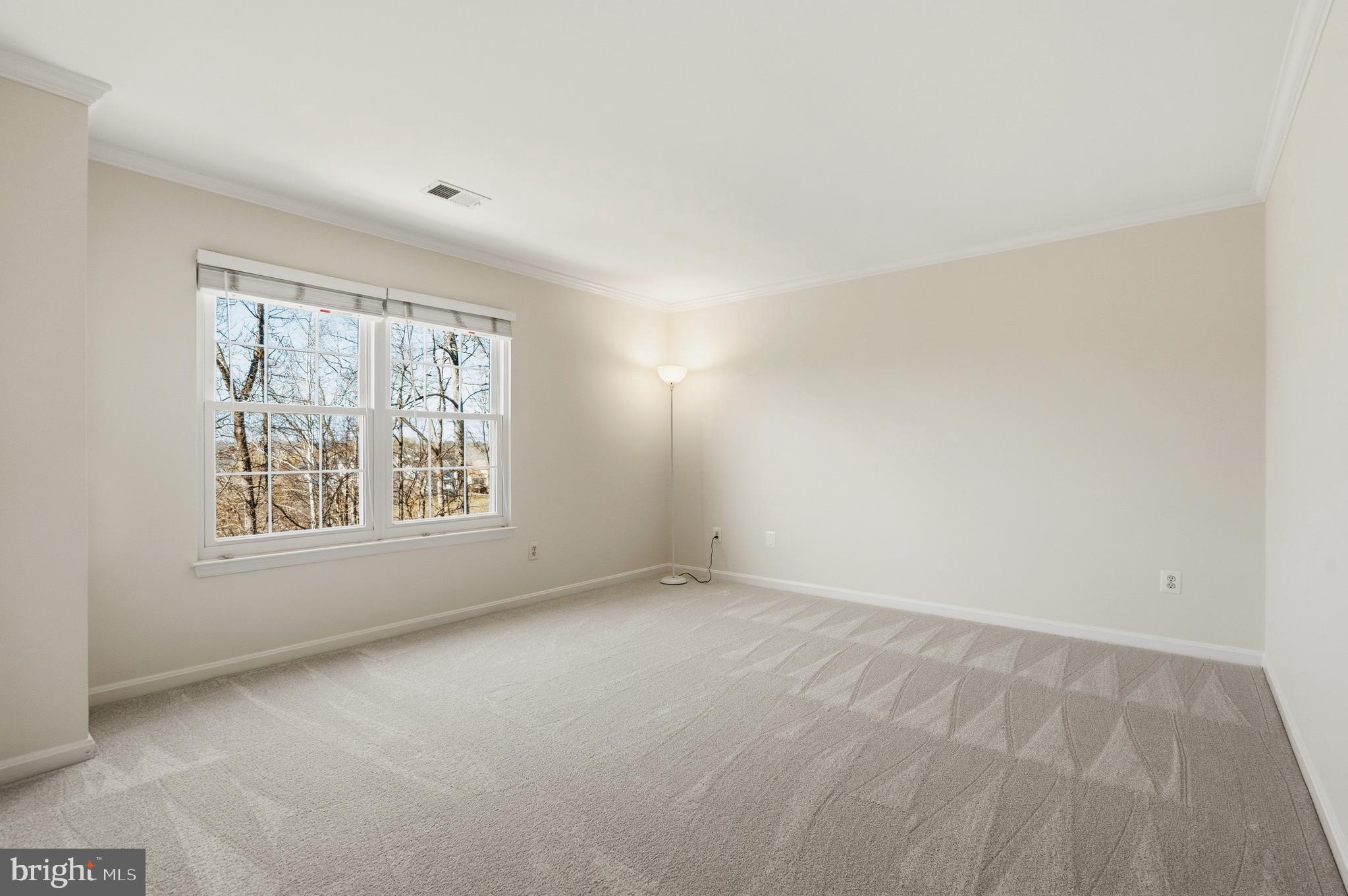 10052 NAUGHTON COURT